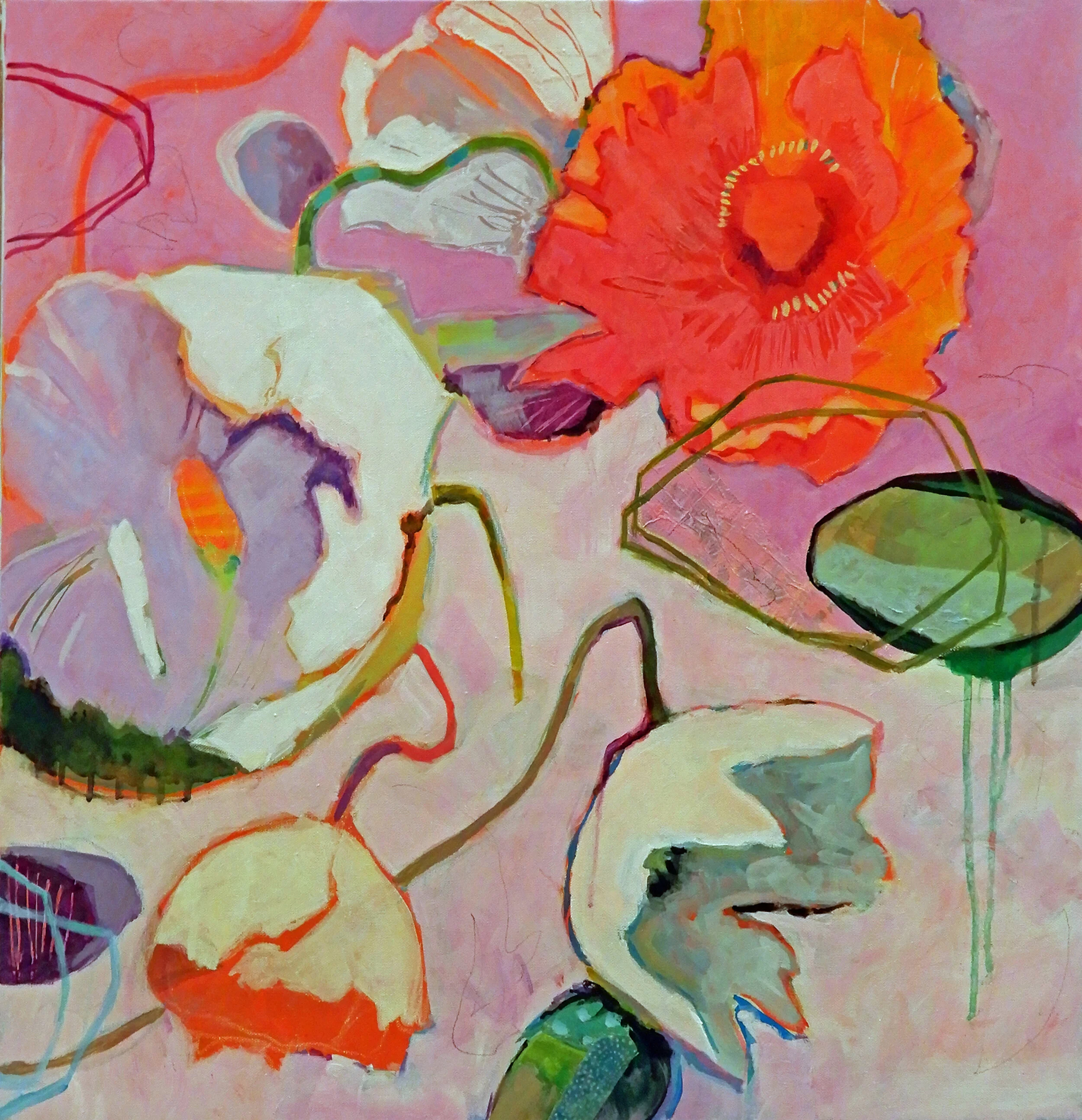 Close Up, Poppies 