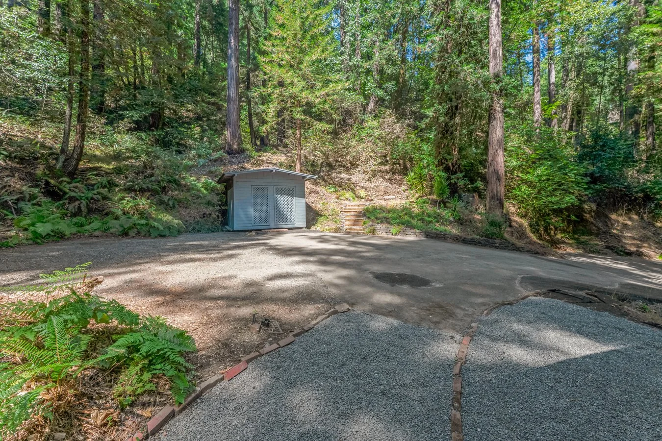 A small blue shed situated at the edge of a forested area, with a dirt and gravel path leading up to it, surrounded by tall trees and lush greenery.