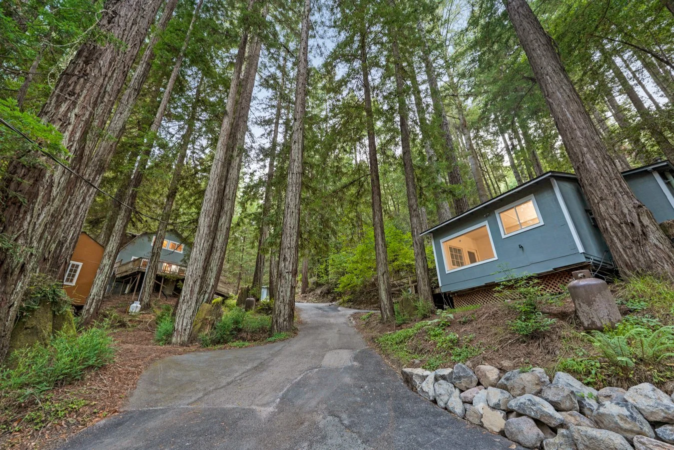 Two colorful houses nestled among tall trees on a winding mountain road.