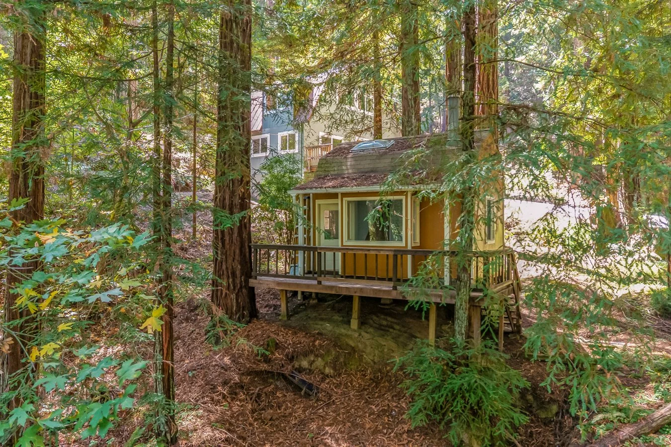 A house in a forested area with tall trees, multiple windows, a wooden deck, and steps leading down to the ground.