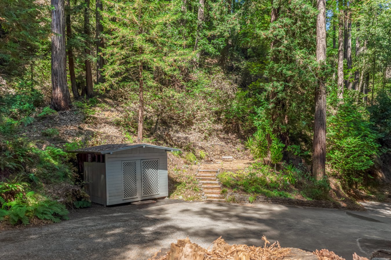 A small gray storage shed with a lattice double door, situated on a paved area at the edge of a forest with tall trees and green foliage. A set of steps leads up into the wooded area.