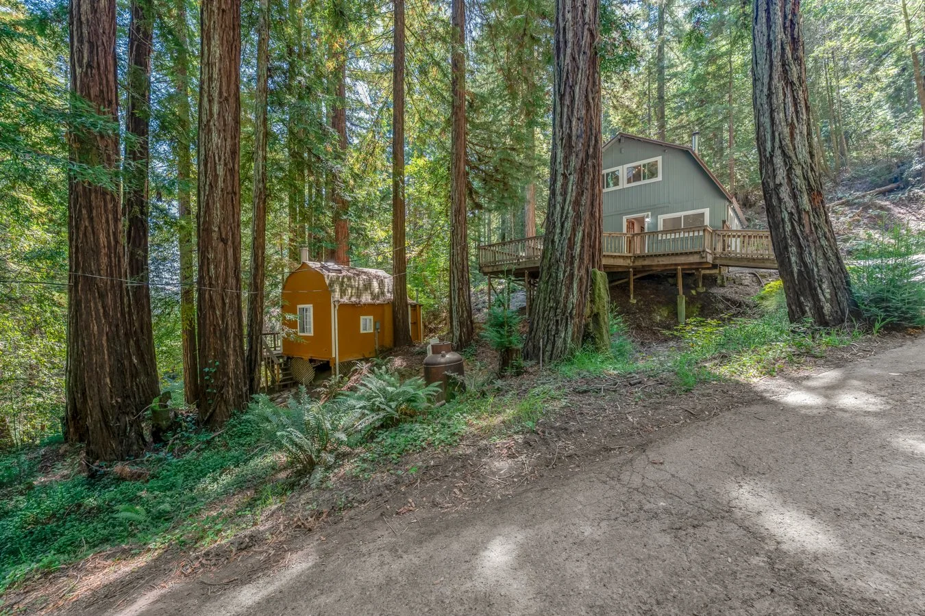 A green house on stilts and a yellow tiny house built into the side of a forested hill, surrounded by tall trees, with a dirt path in the foreground.