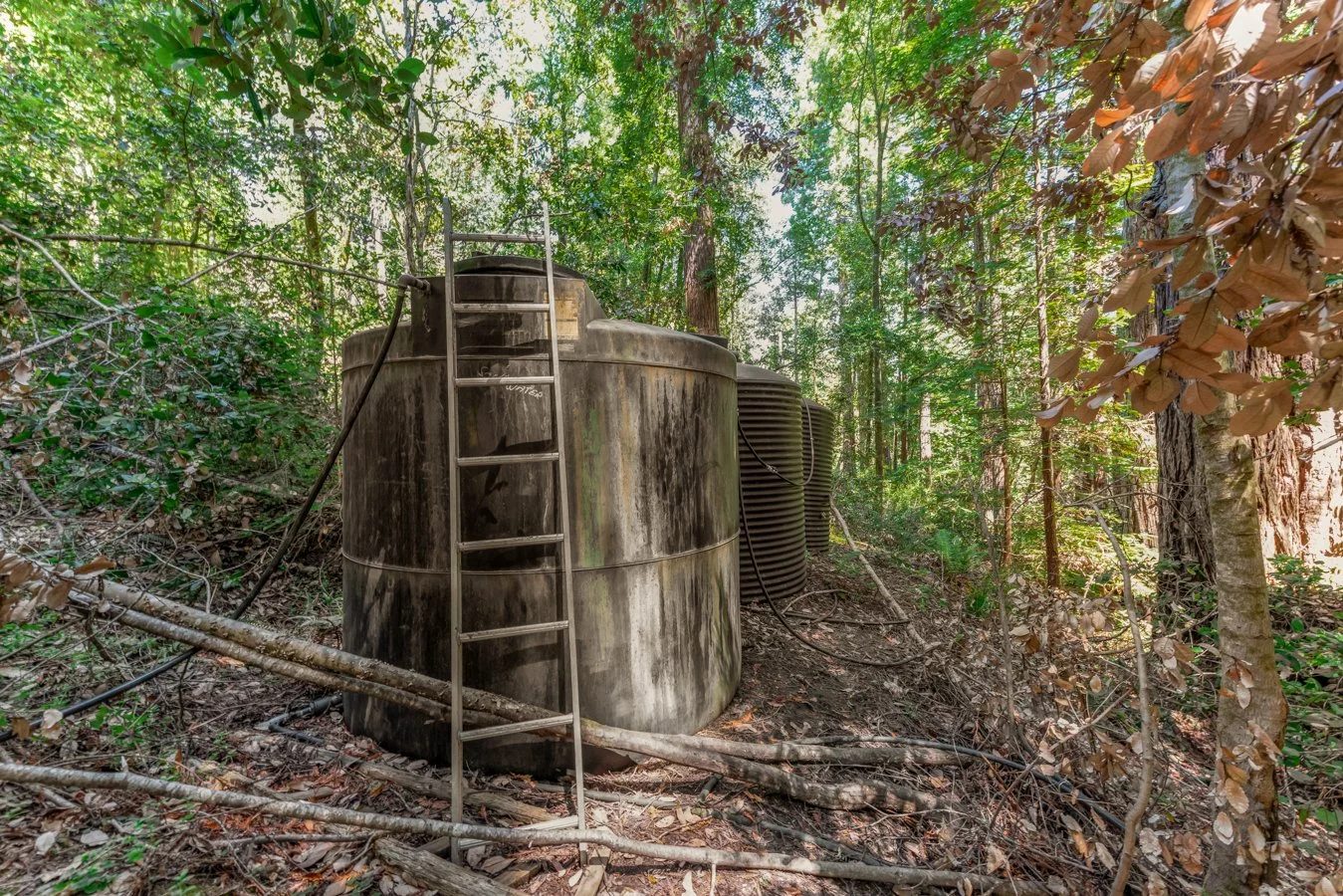 Old, rusted water tank in a forested area with a metal ladder leaning against it.