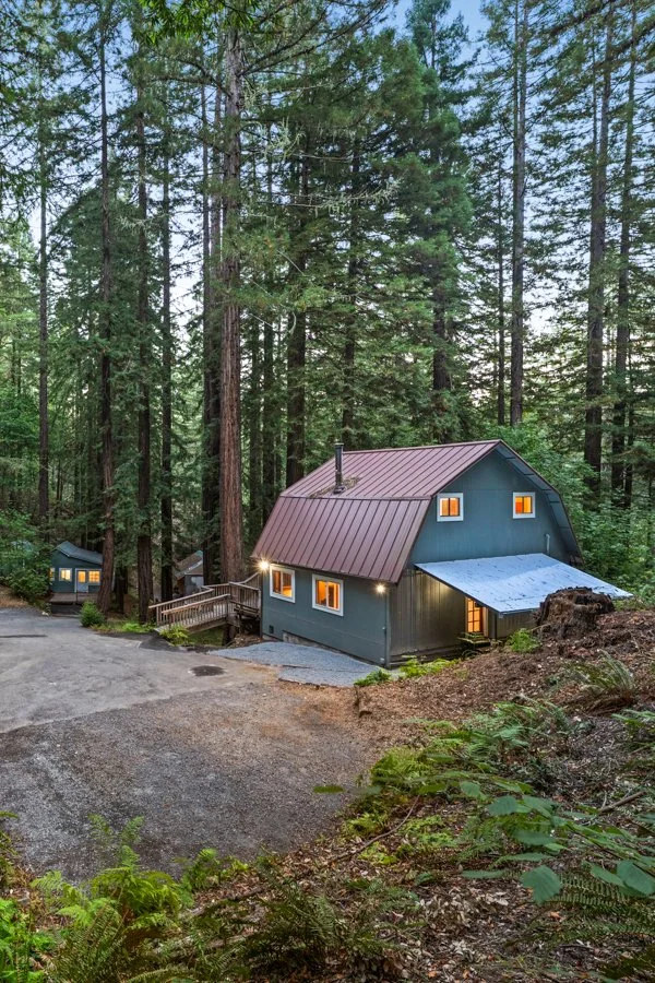 A house with a metal roof surrounded by tall trees in a forest setting, with a driveway leading up to it, and lights on inside.