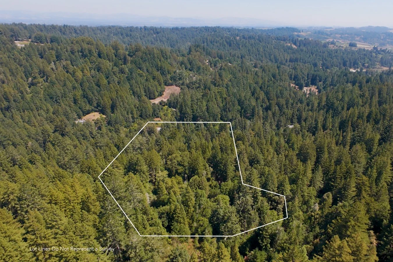 Aerial view of a dense forest with a white boundary outline marking a plot of land amid tall evergreen trees.