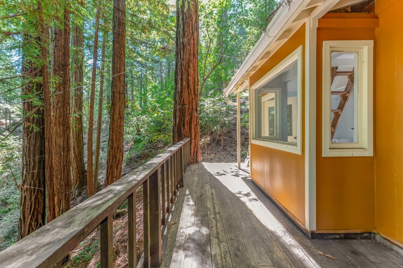 Wooden deck with brown railing overlooking a forest of tall redwood trees, attached to a house painted orange with large windows.