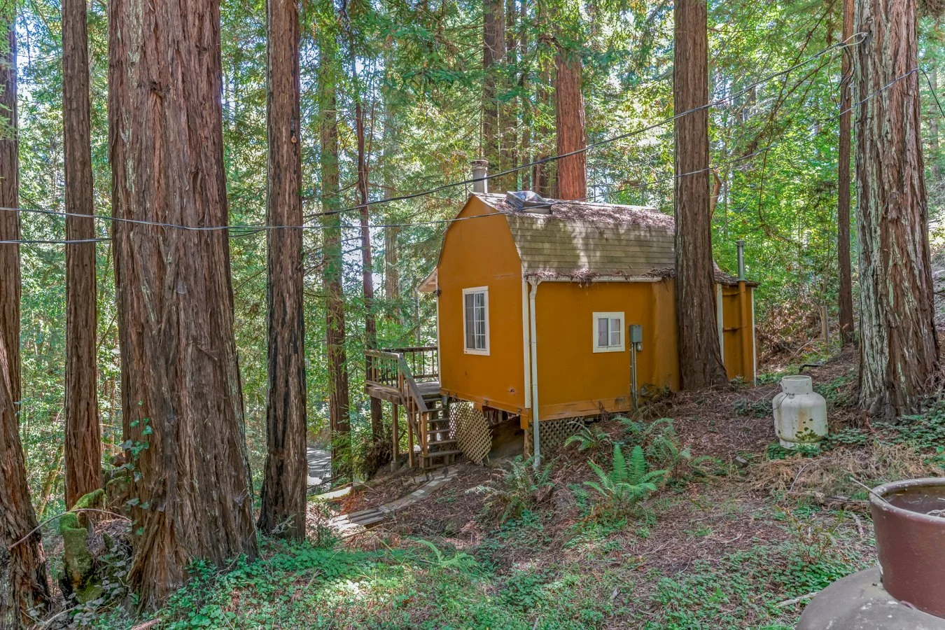 A small yellow cabin with a gabled roof is situated among tall trees in a forest. The cabin has a wooden staircase leading to a porch and is connected to overhead wires.