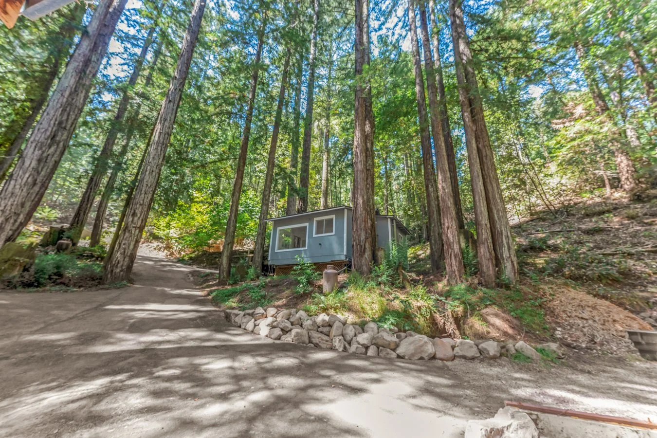 Small house or cabin in a wooded forest, surrounded by tall trees and a dirt pathway leading up to it.
