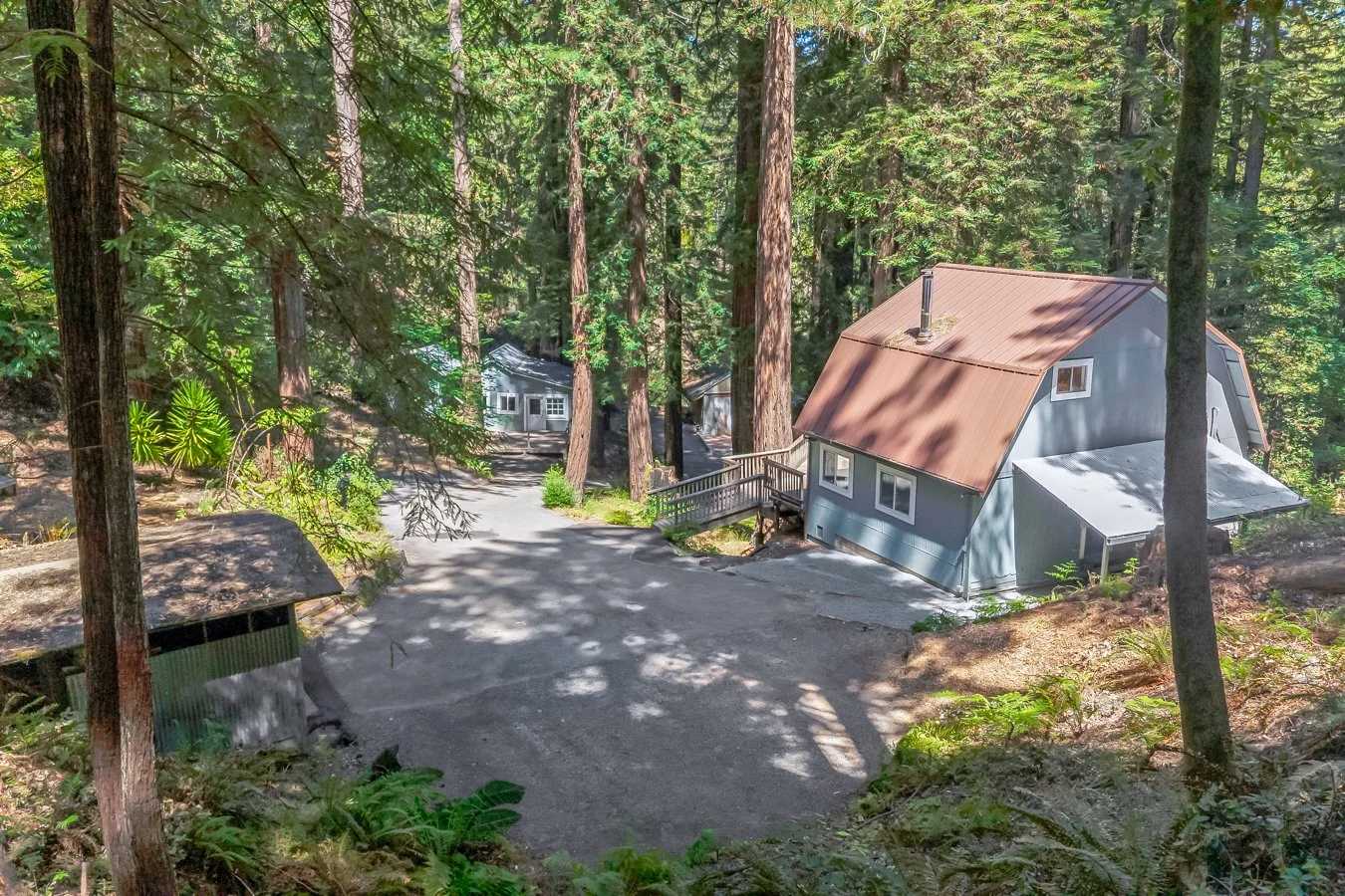 A rustic house in a forest surrounded by tall trees and lush greenery, with a gravel driveway leading to the house.