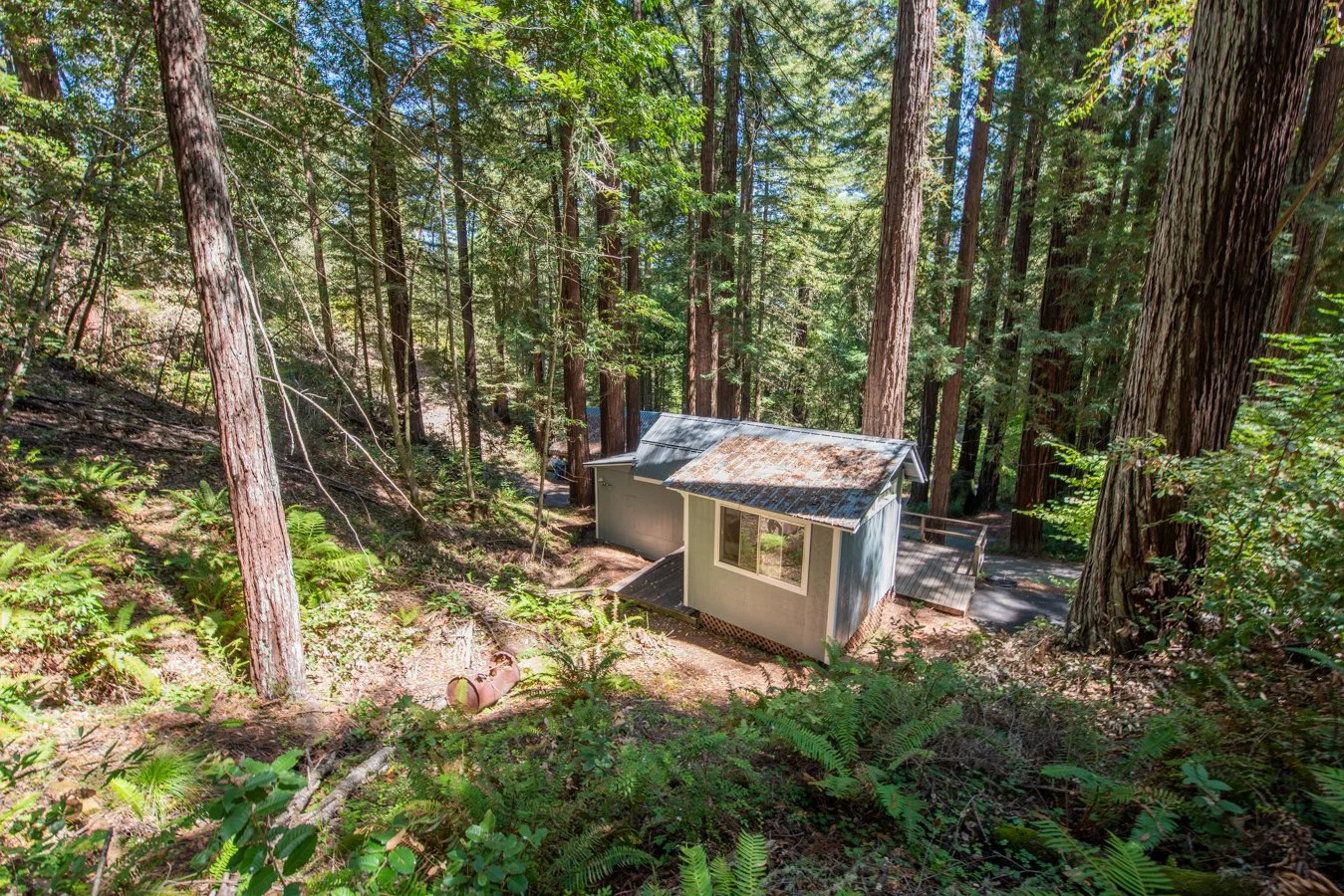 A small house in a forest setting surrounded by tall trees and green foliage, with a sloped metal roof, a window, and a small porch.