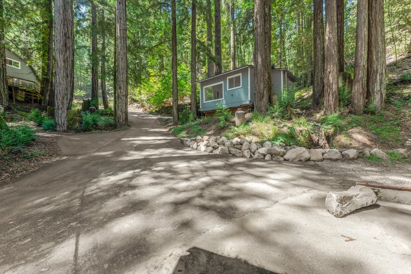 A dirt road winding through a forest with tall trees. A small blue house is situated among the trees on the right side, with rocks bordering the foundation. Shadows of trees cast on the ground, and another house is visible in the background on the le