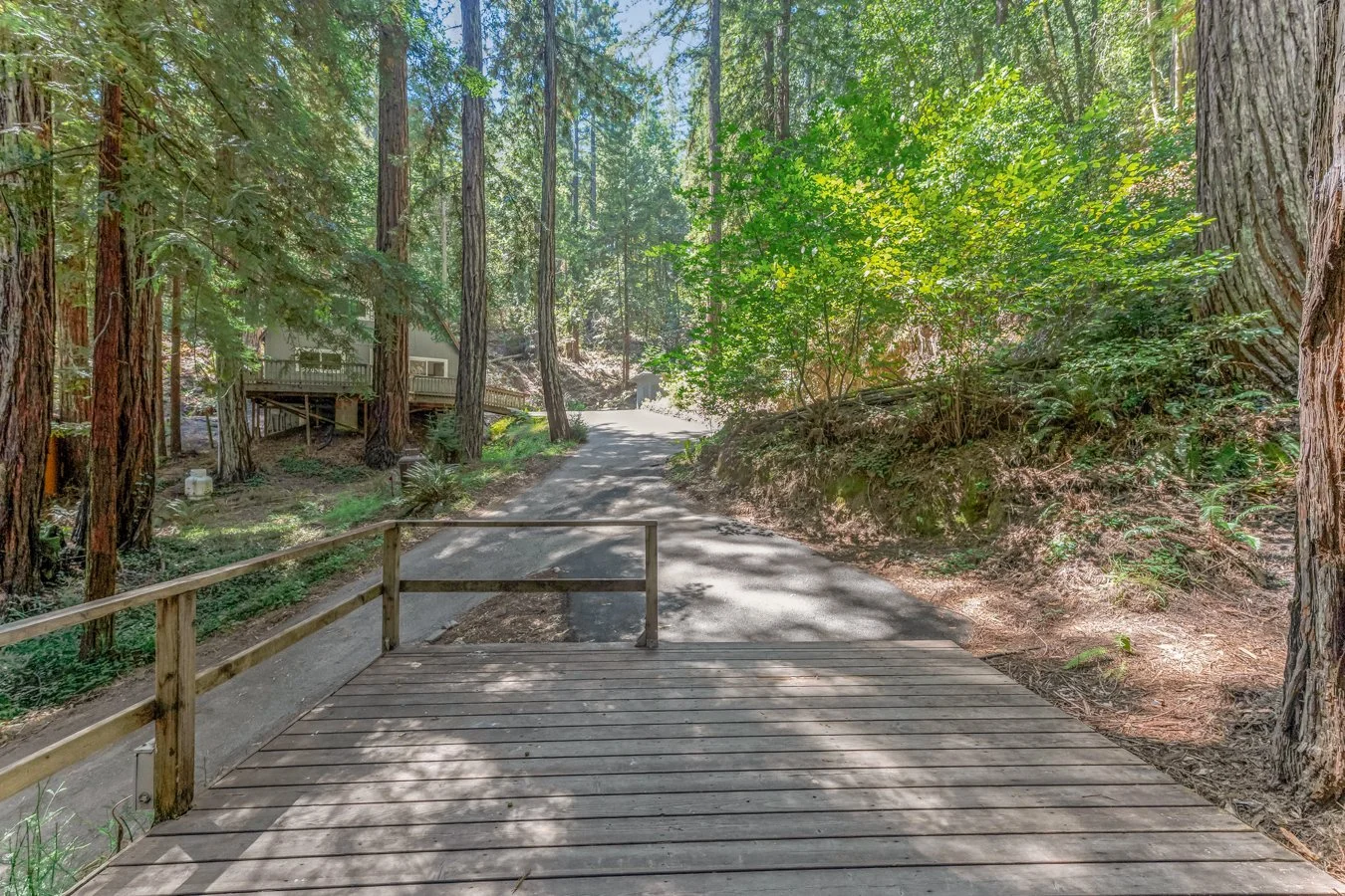 A wooden platform with a railing extends over a walking trail through a forest with tall trees and lush green foliage.