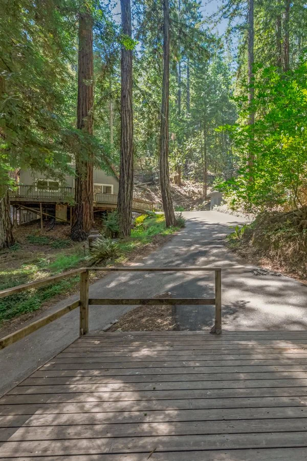 Wooden deck overlooking a winding forest trail surrounded by tall pine trees and green foliage.