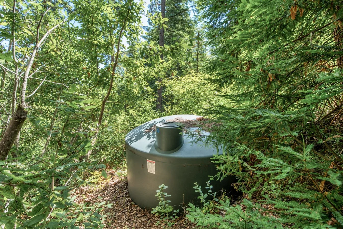 Green water tank surrounded by dense trees and foliage in a forest setting.