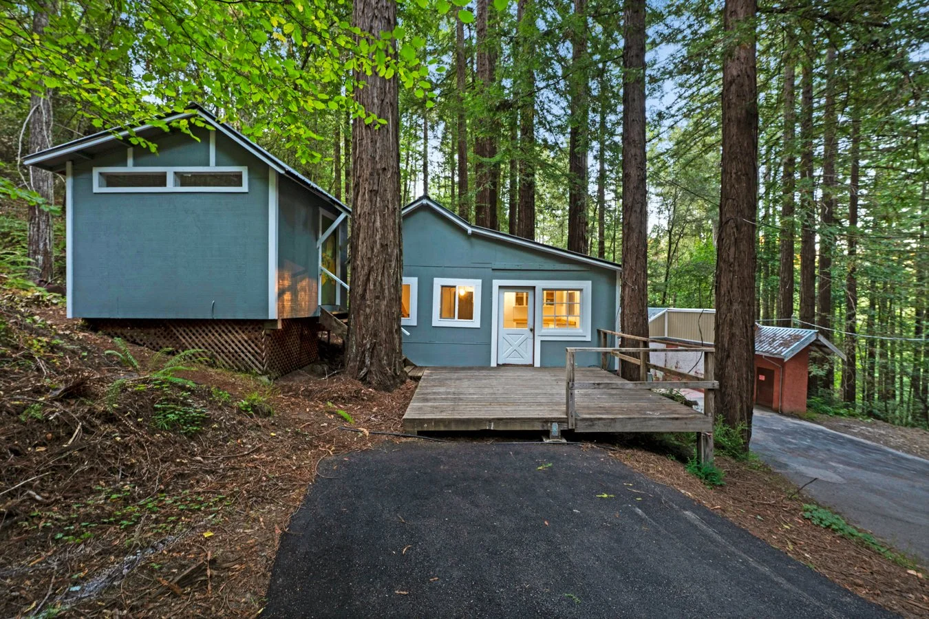 A blue house in a dense forest with tall trees, featuring a wooden ramp and multiple windows, illuminated from within.