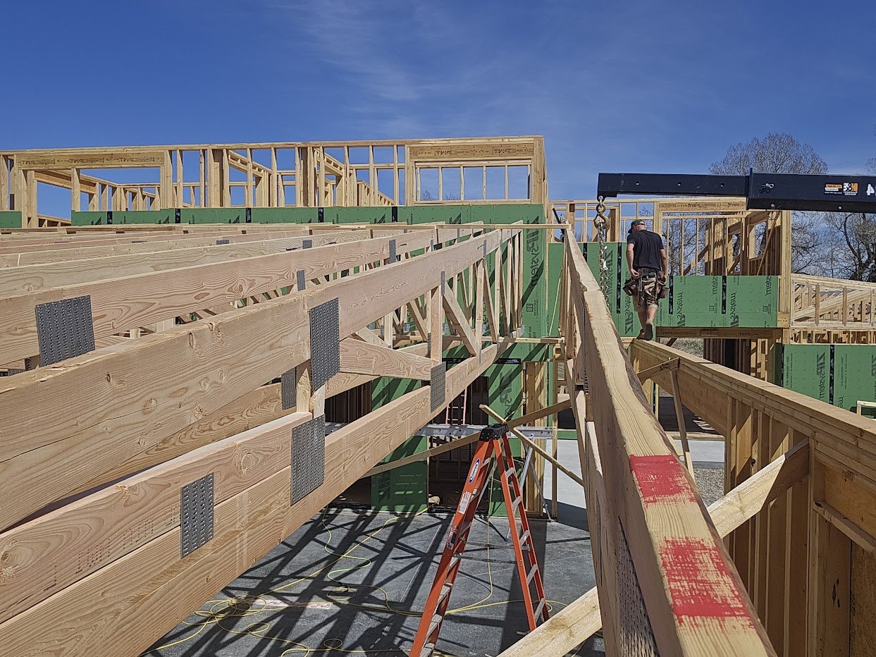 1295 Walking Roofline.jpg