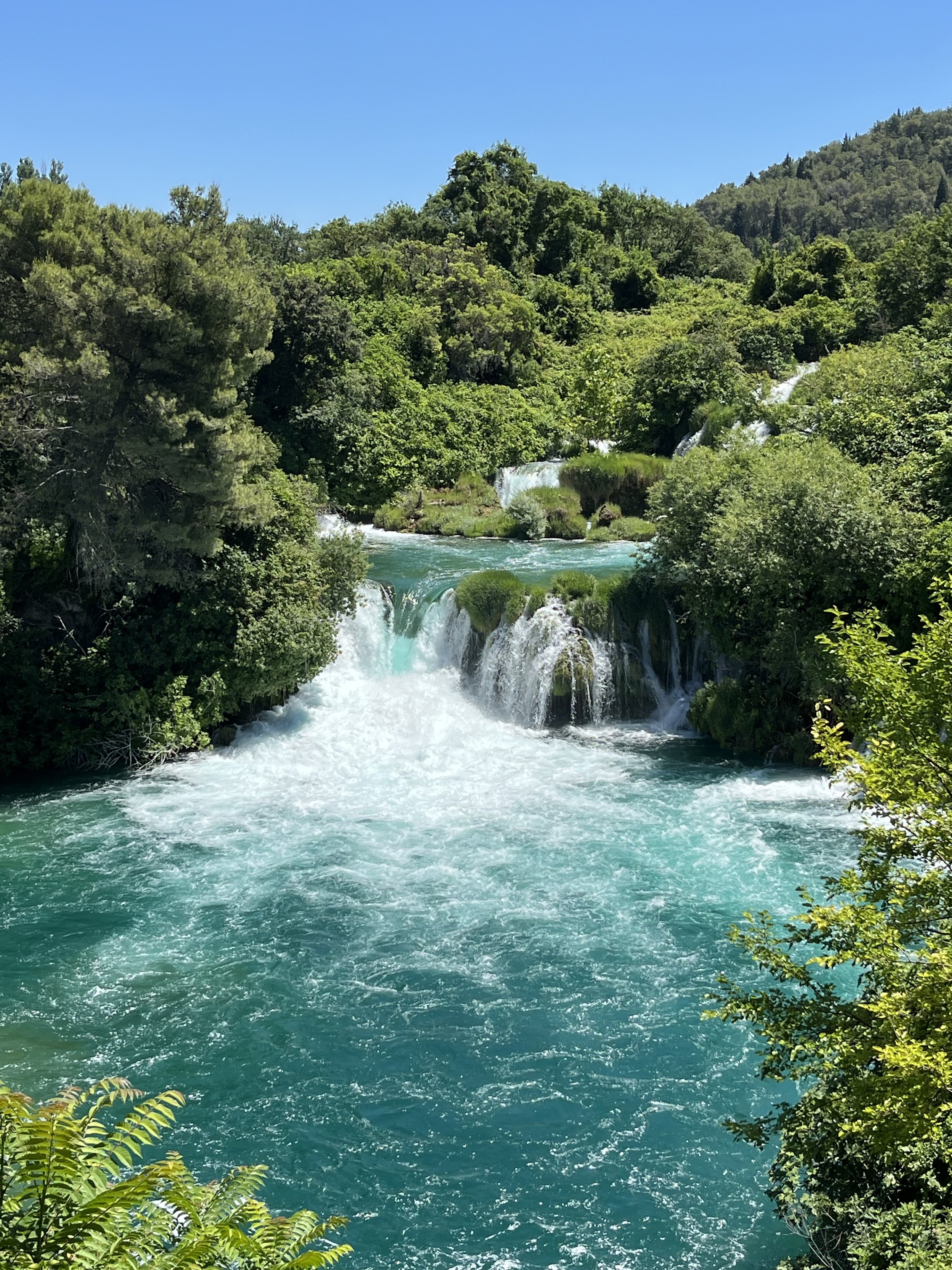 IMG_1745.jpeg
