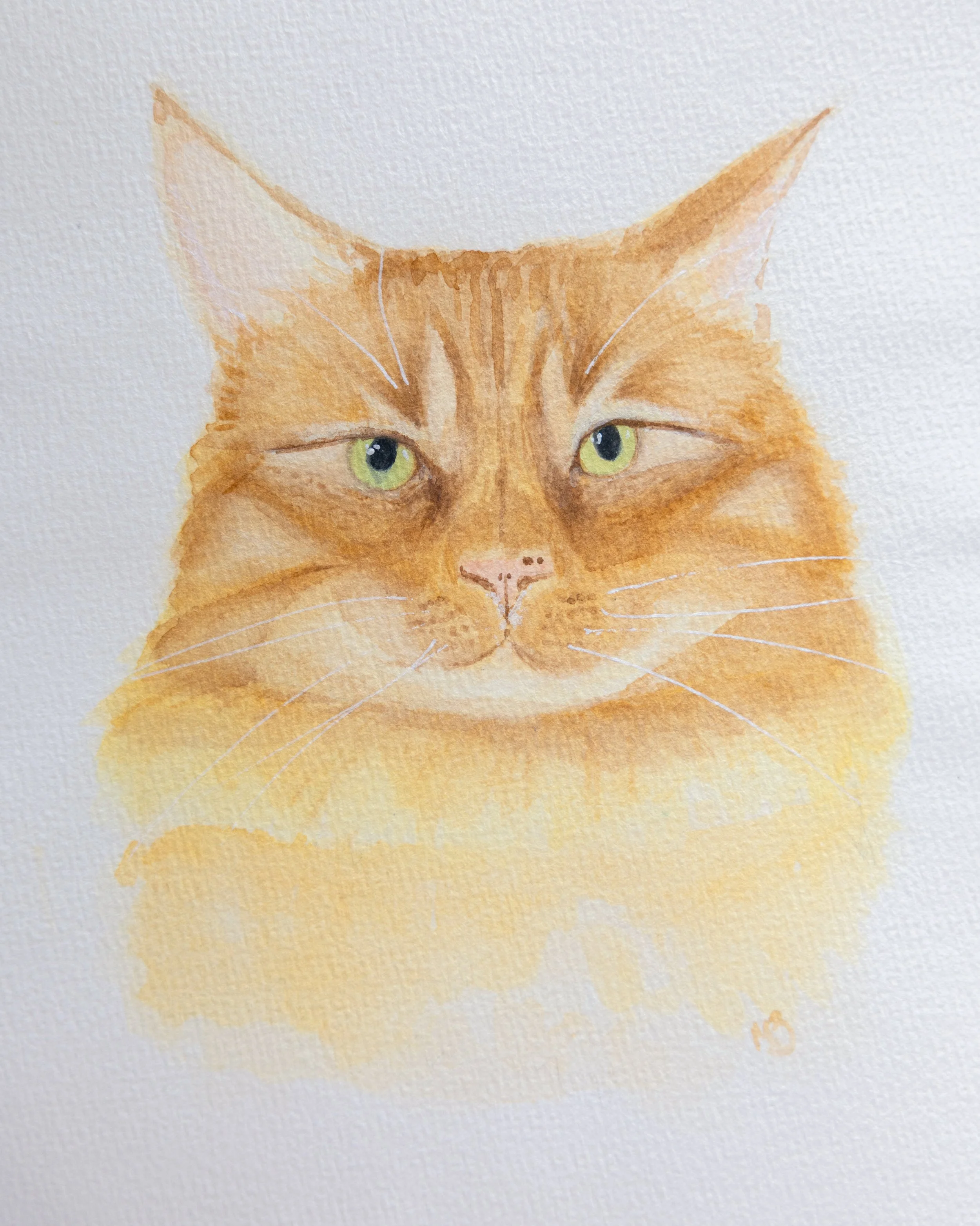 Cheddar