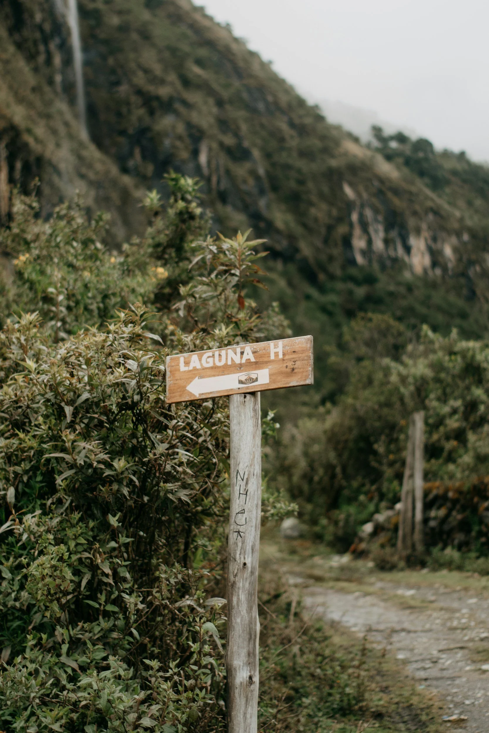unsplash-image-rXSiHkSCK7U.jpg