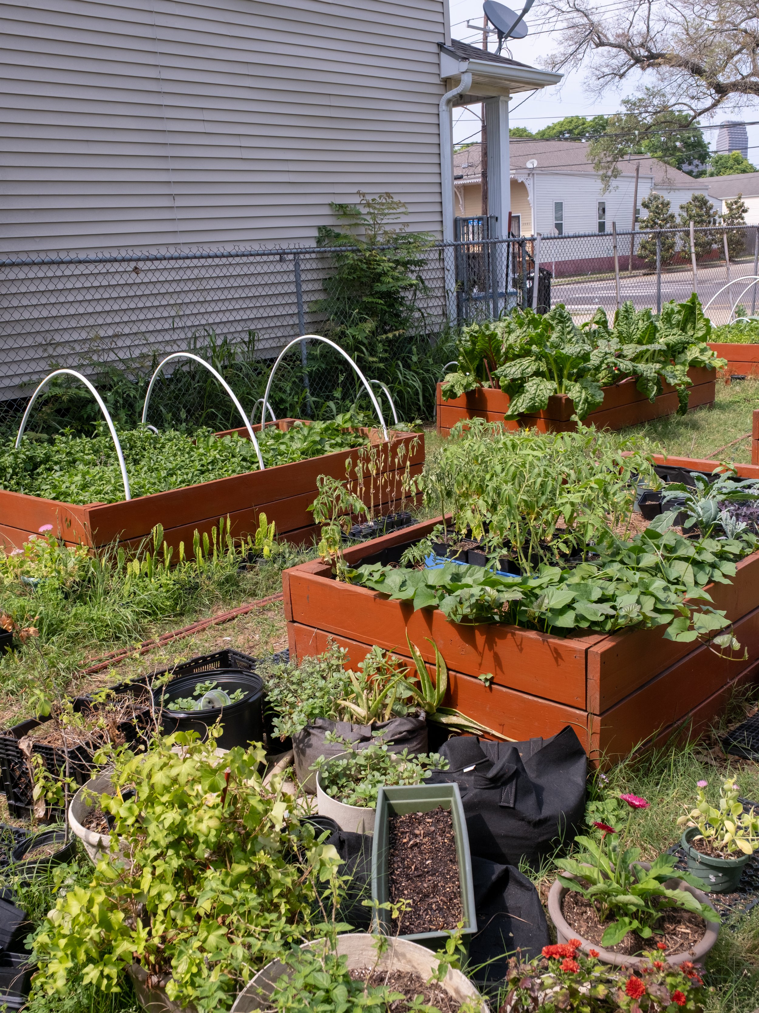 From Soil to Supper