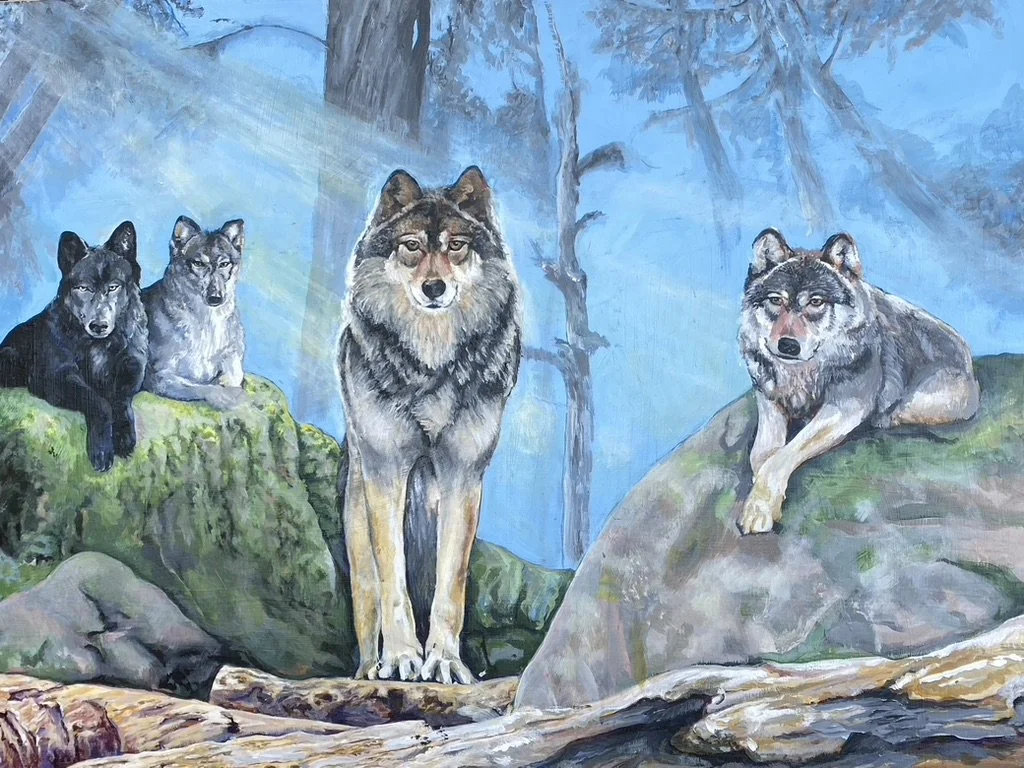 Wolves Watching on rock and log, Fog in background, Great Bear Rainforest, BC,acrylic wildlife, Painted by Carole Finn