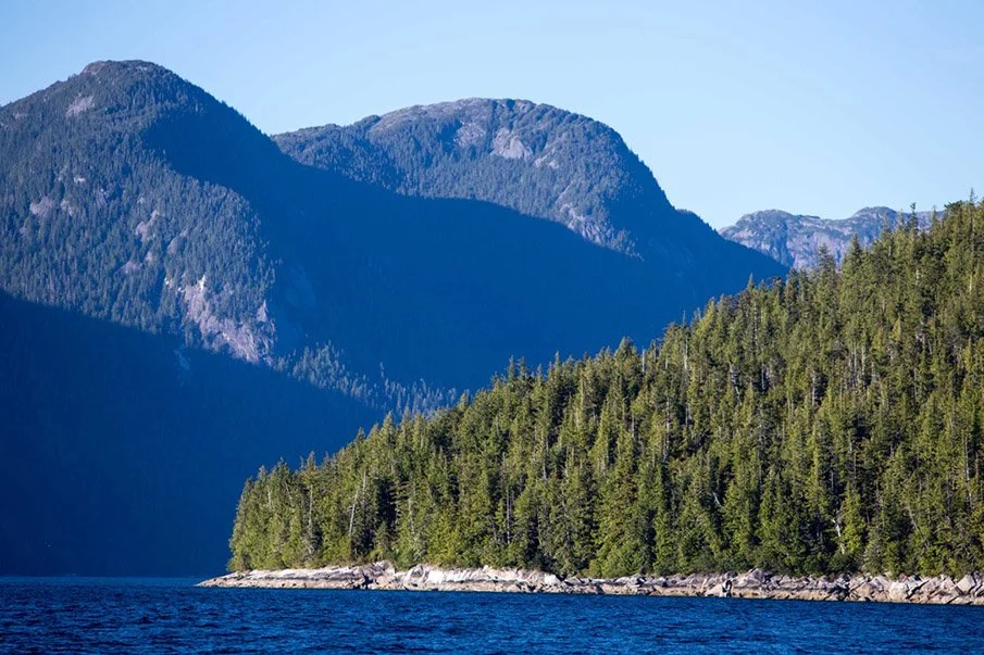 A scenic view of a mountain range with lush green coniferous forest along a shoreline and a body of water in the foreground.