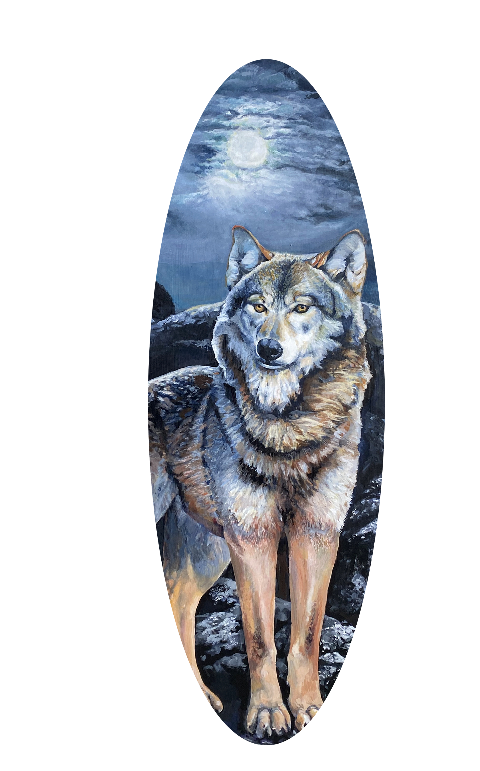 Sea Wolf  In Elipse . Mark, ABOUT page, Carole Finn Artist website