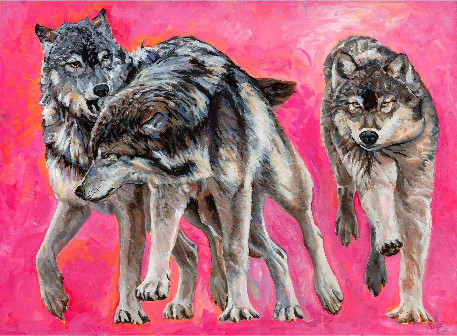 Sea Wolves ,Running,playing together on Pink Background great Bear Rainforest BC,acrylic wildlife painting by Carole Finn