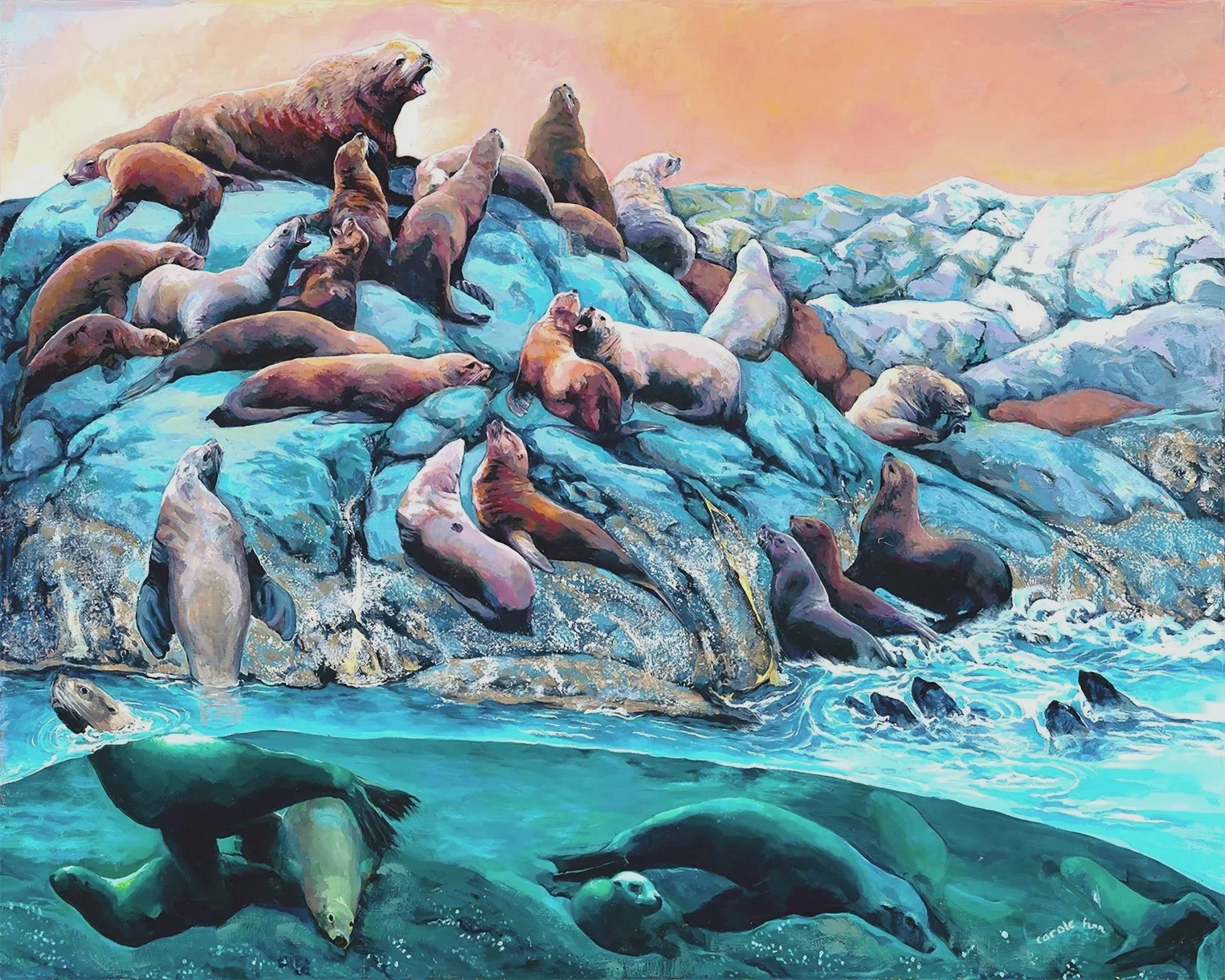 Stellar Sea Lions, Colony on Rock , in Water, BC Coast, acrylic wildlife painted by Carole Finn ,