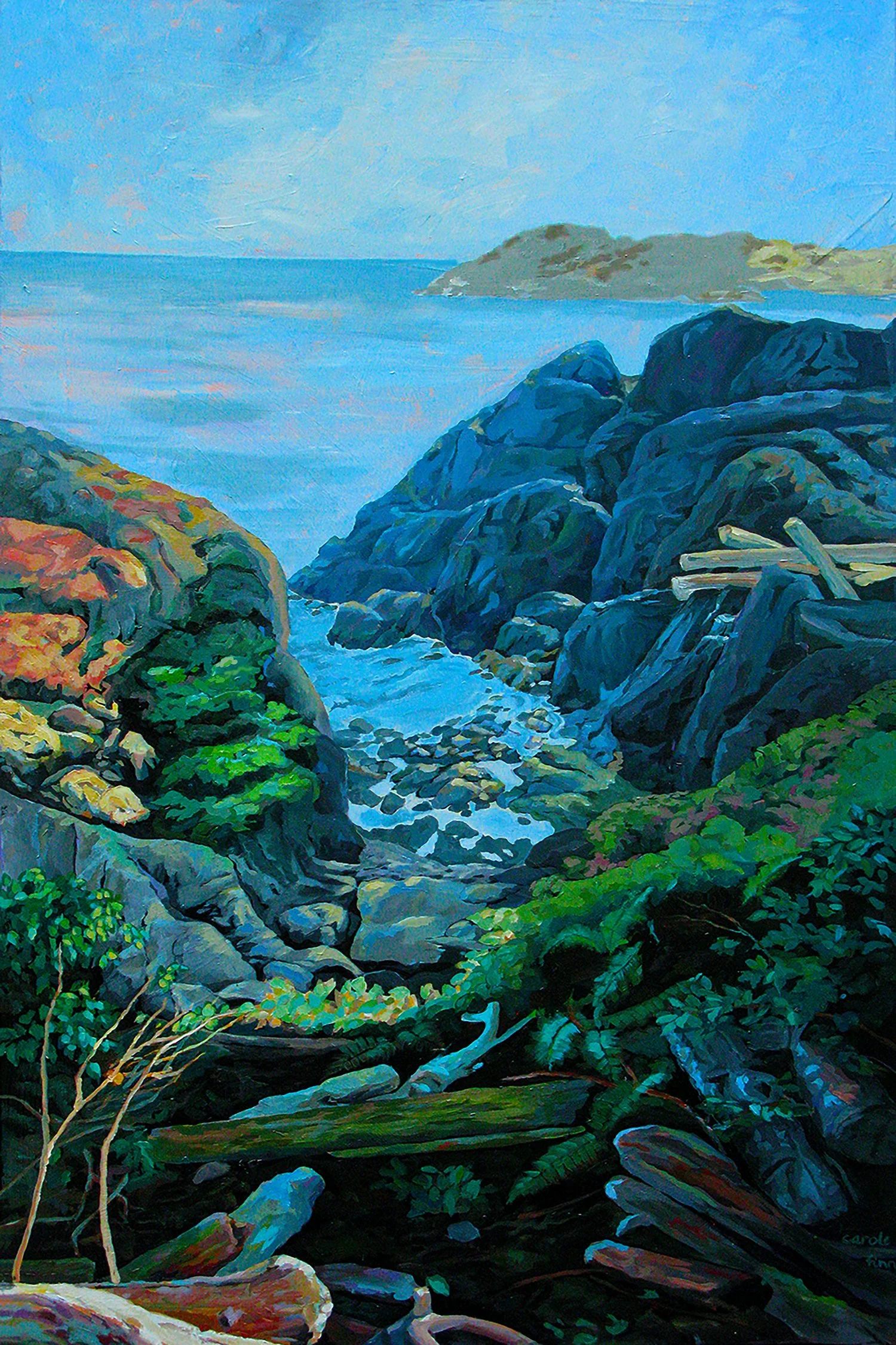 Gully View Pacific  Rim Trail, Vancouver Island, acrylic landscape., Painted by Carole Finn
