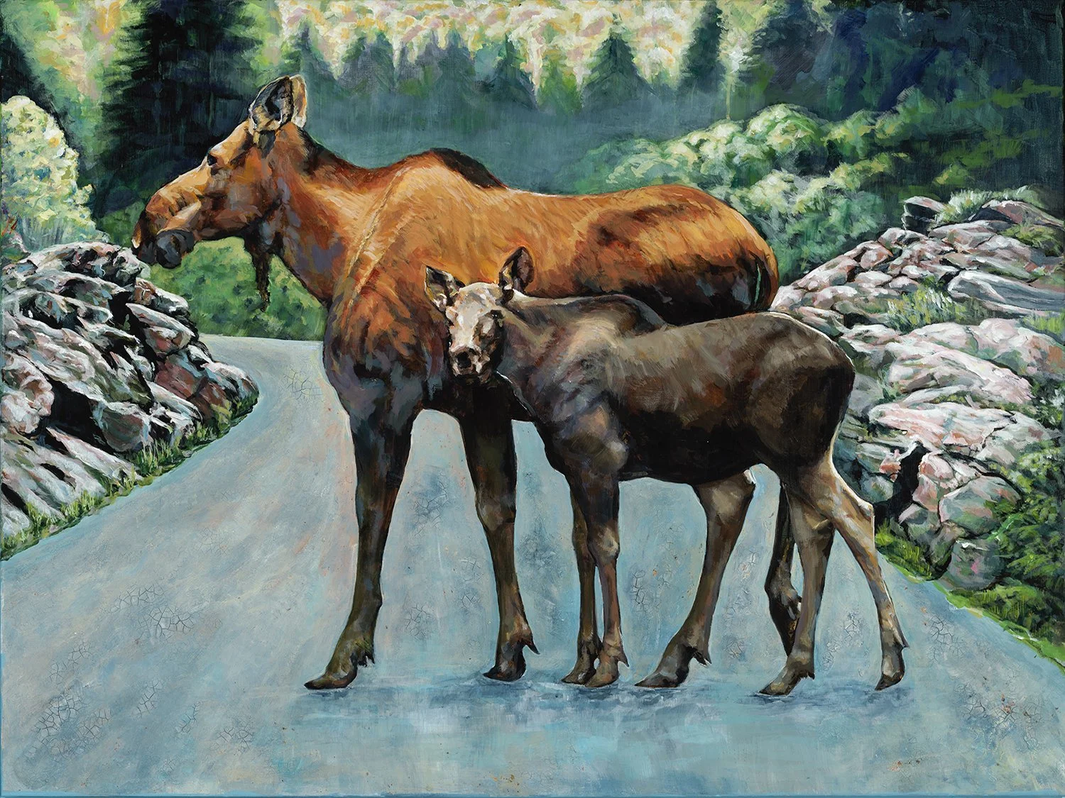 Moose and Calf crosing  road, Algonquin Park, On.,acrylic wildlife painting by Carole Finn