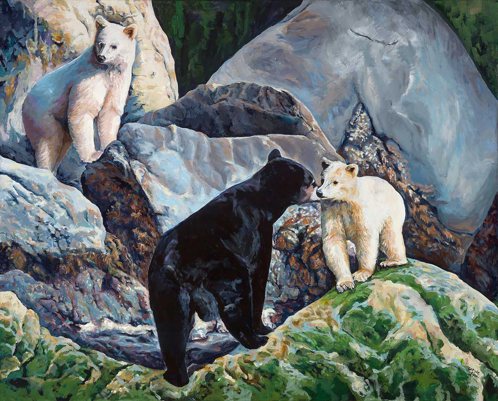 Spirit Bear Cubs,Black bear Mother climbing up rocks Great bear Rainforest BC, acrylic Wildlife painted by Carole Finn