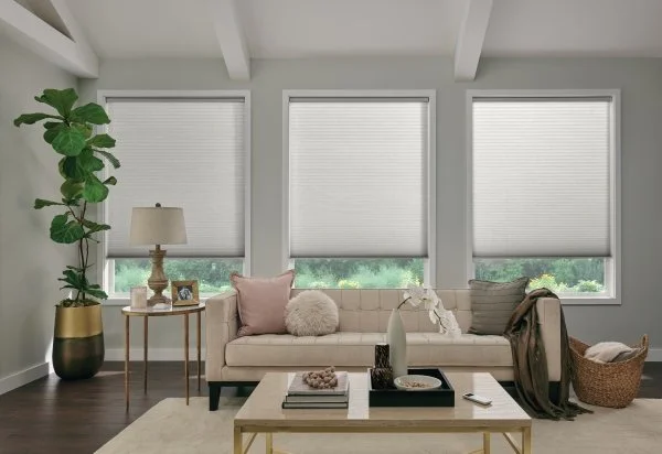 Living room with three windows with closed blinds, beige sofa with pink and beige pillows, side table with a lamp, a photo frame, and decorative items, tall potted plant, coffee table with decor, wicker basket, and throw blanket.
