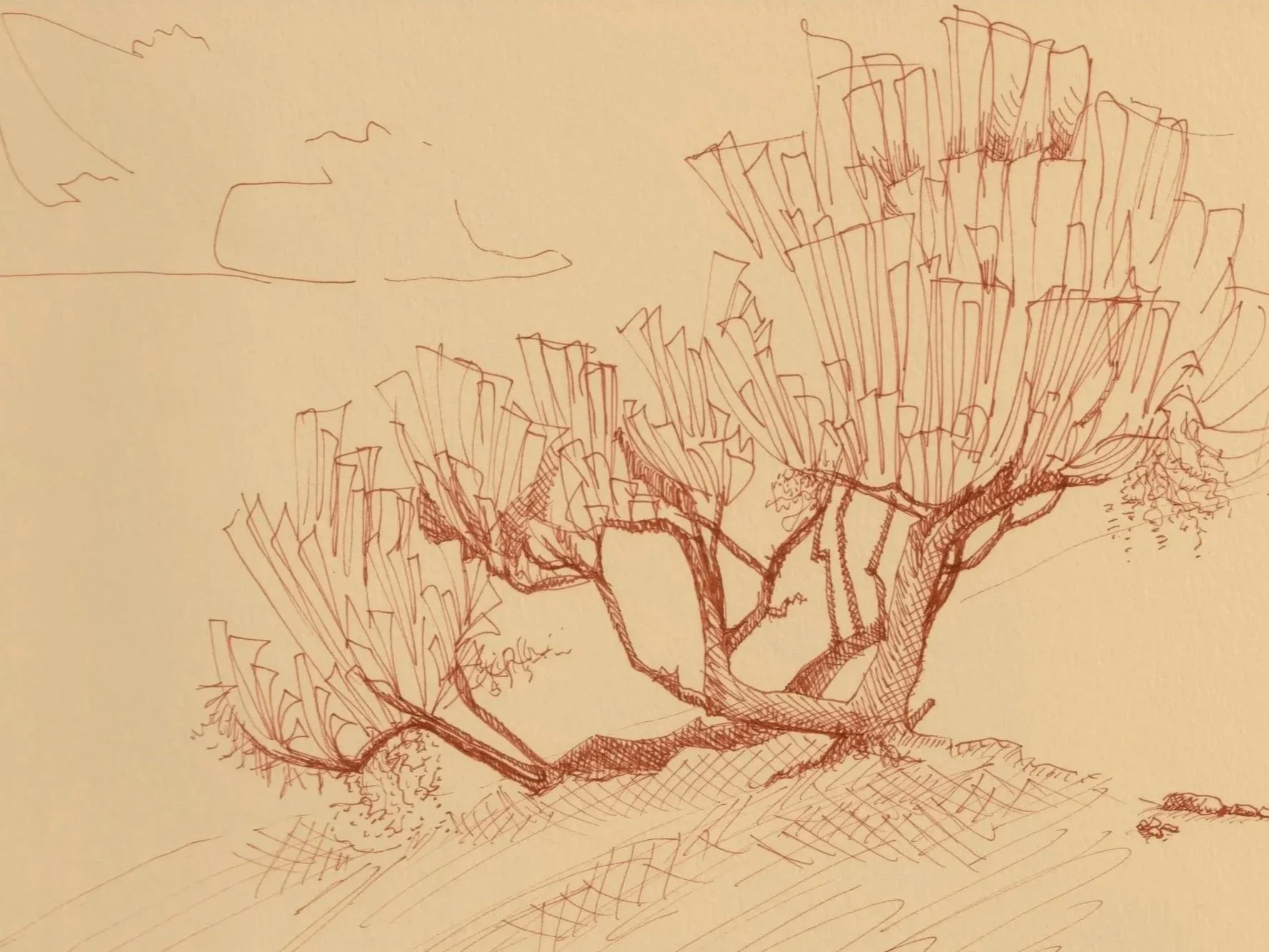 Sketches