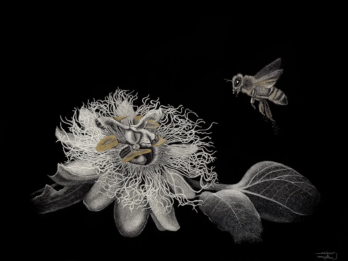 “PASSION IN BLOOM”