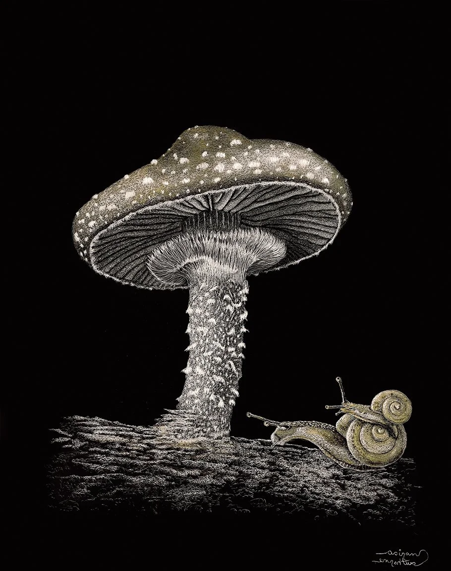 Snails and Mushroom WEB.jpg