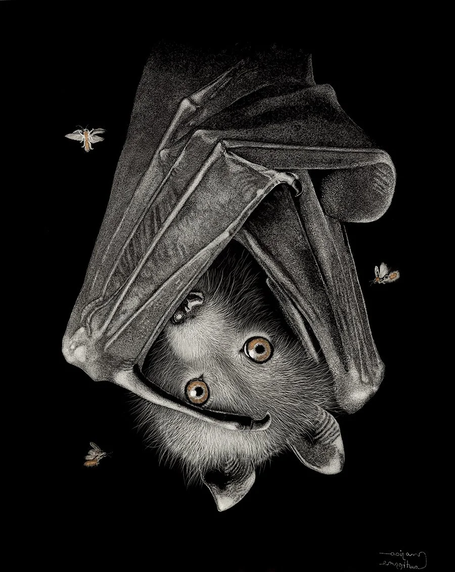 In the Middle of the Night WEB.jpg