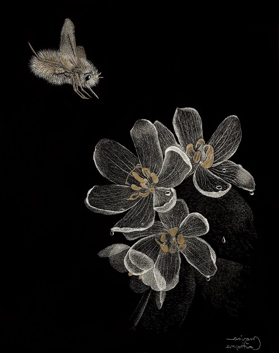 Beefly with Skeleton Flowers WEB.jpg