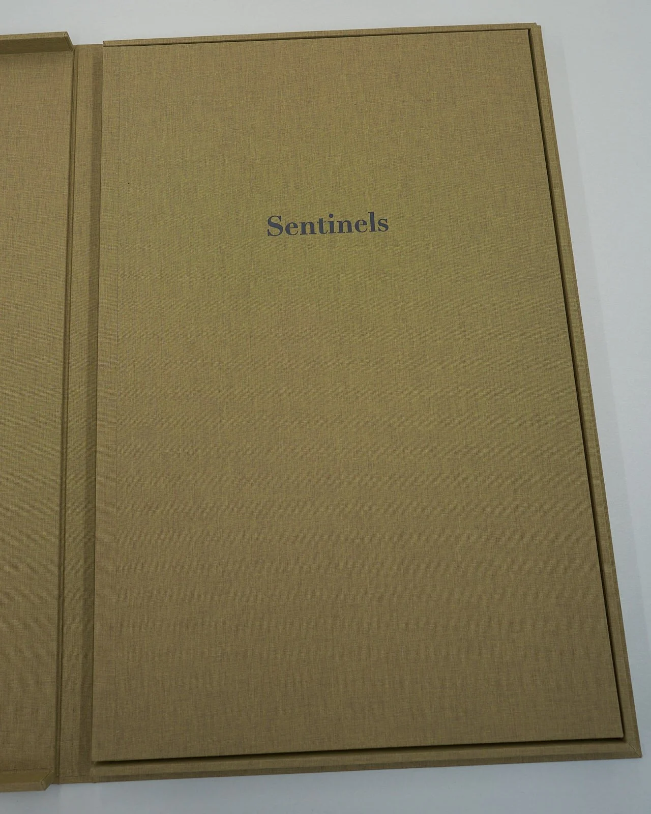 Sentinels