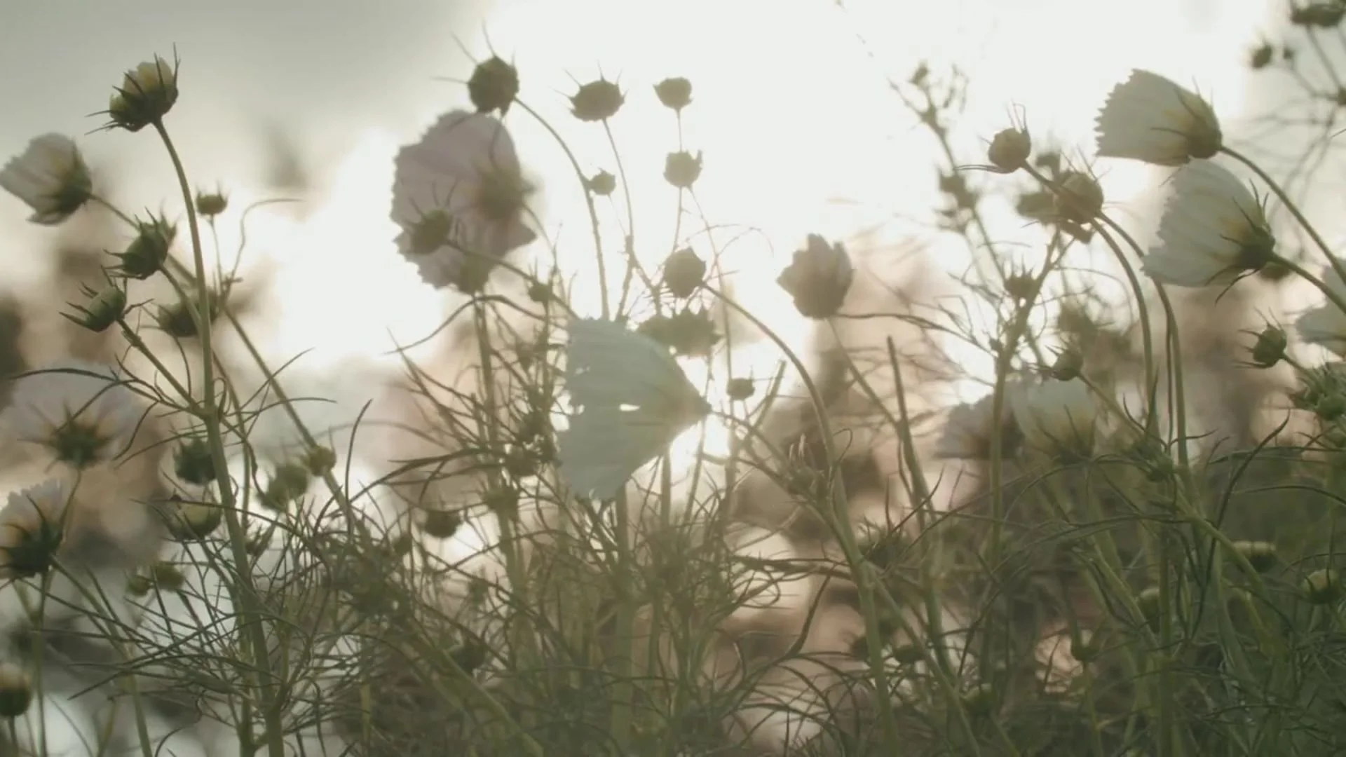 Beautiful World - Work with me florals.jpg