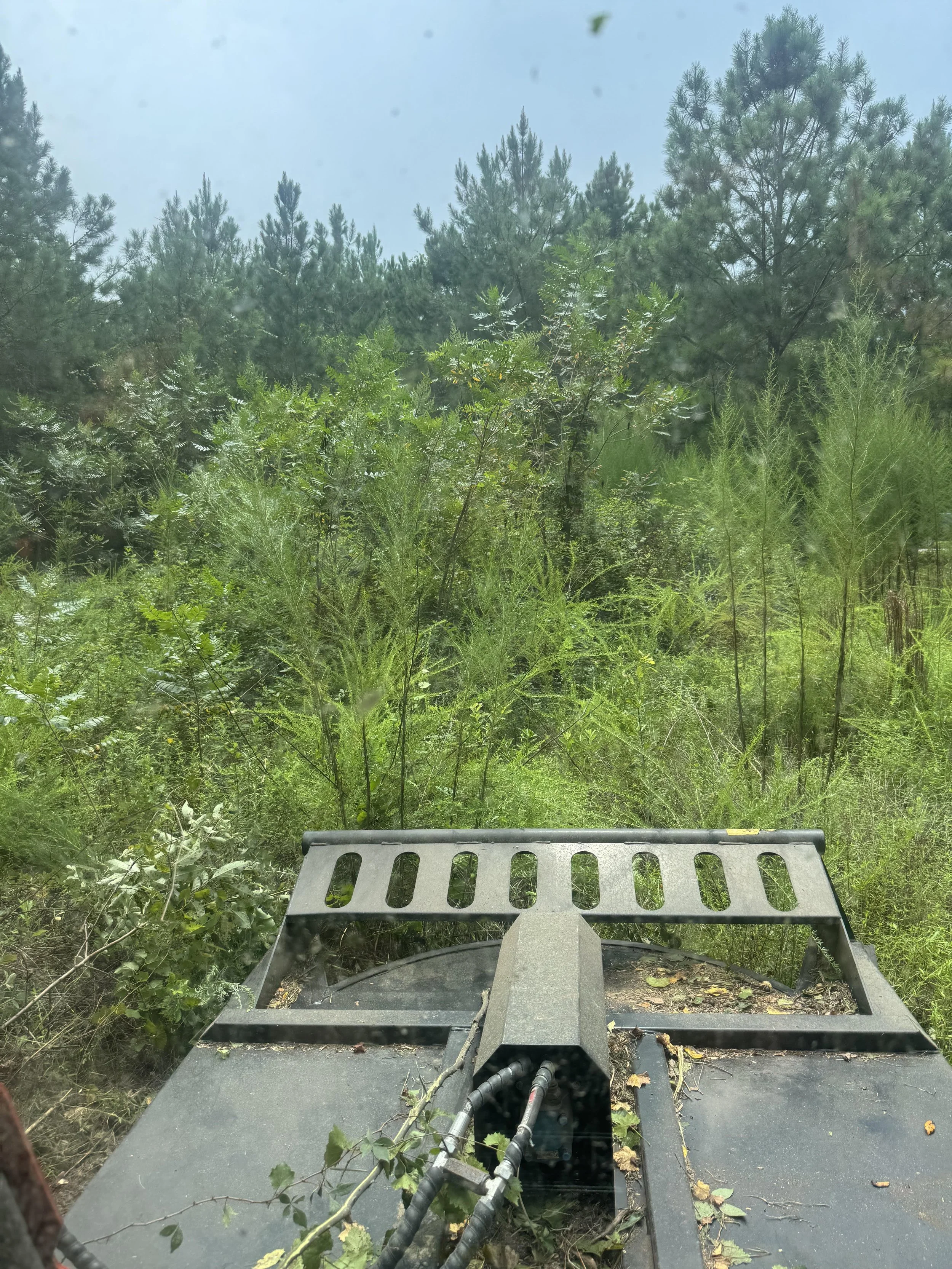 View from a vehicle's front window showing overgrown greenery and trees, with the vehicle's hood and mechanical parts visible at the bottom.