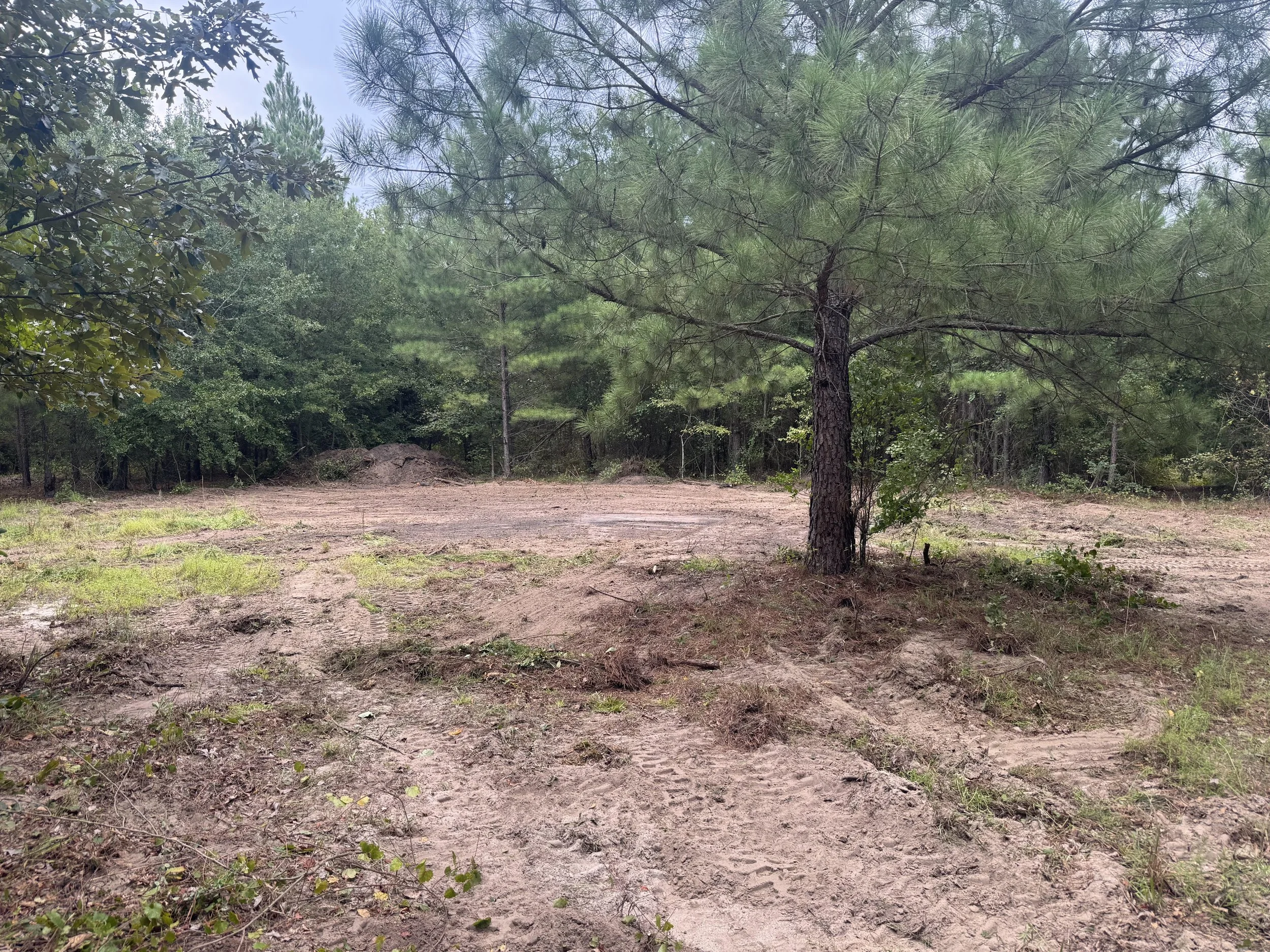 A dirt clearing in a wooded area with various trees and green foliage.