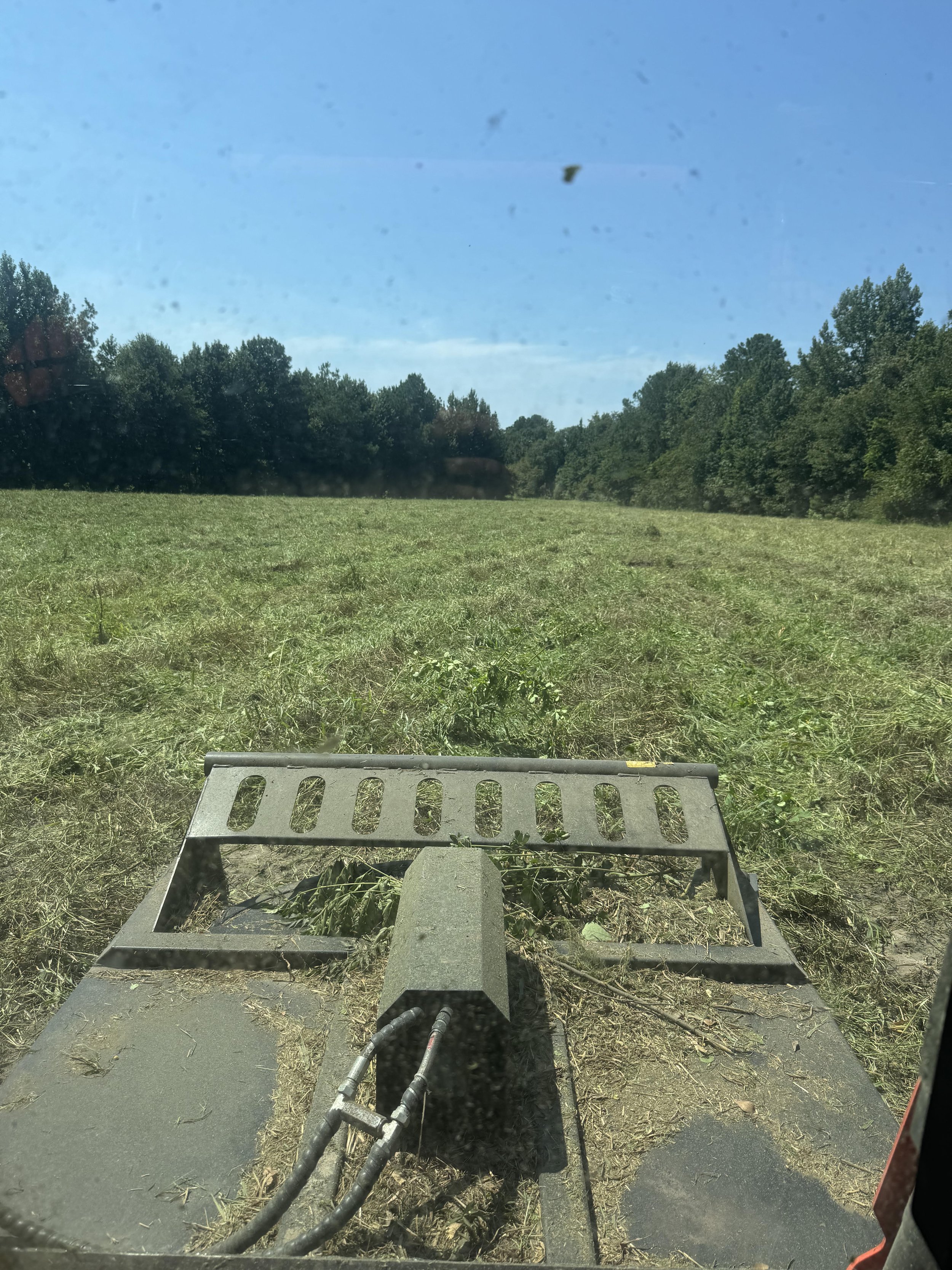 View from behind a lawn mower or agricultural equipment on a grassy field with trees in the distance and a clear blue sky.