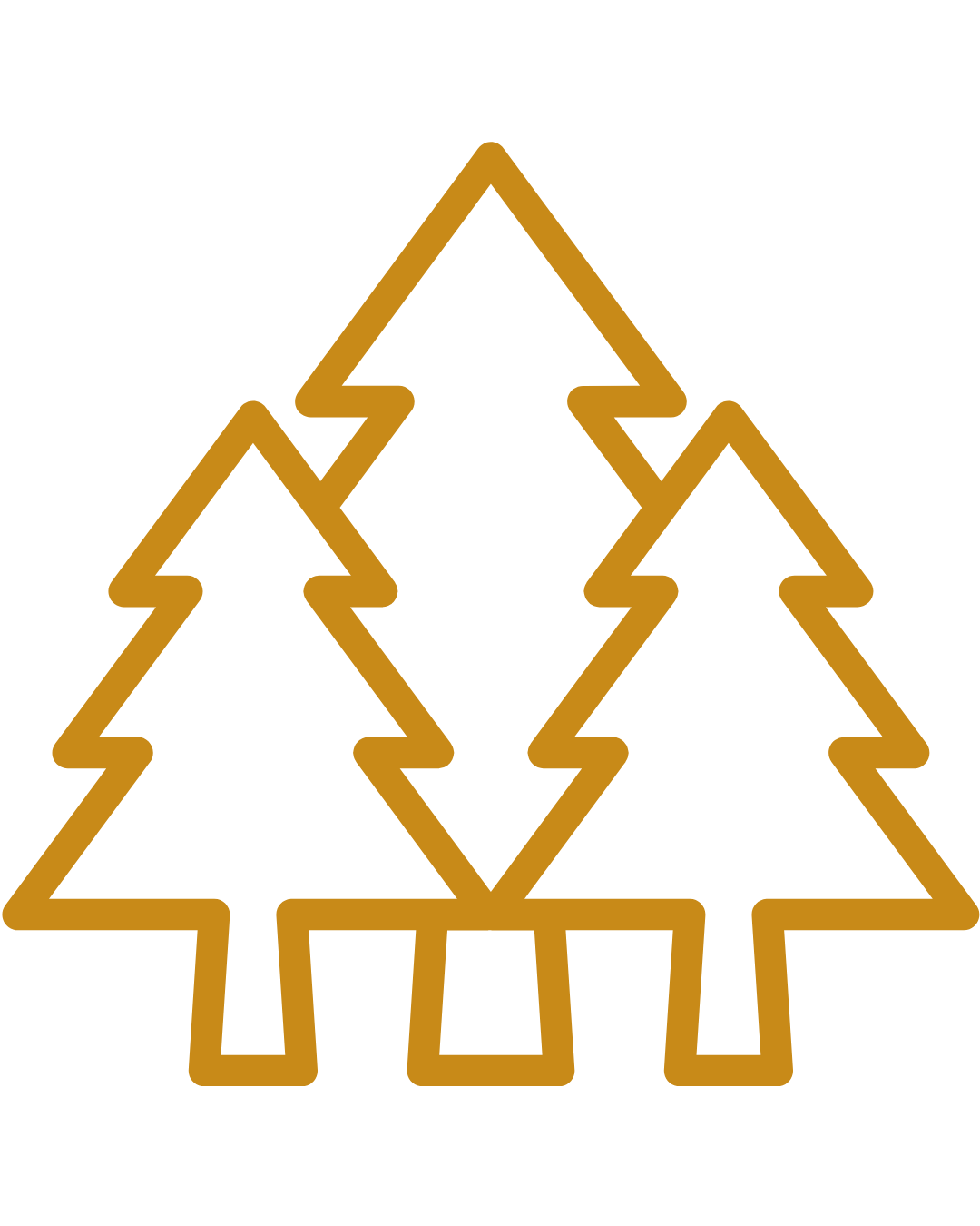 Outline of three golden pine trees with a flat base, on a black background.