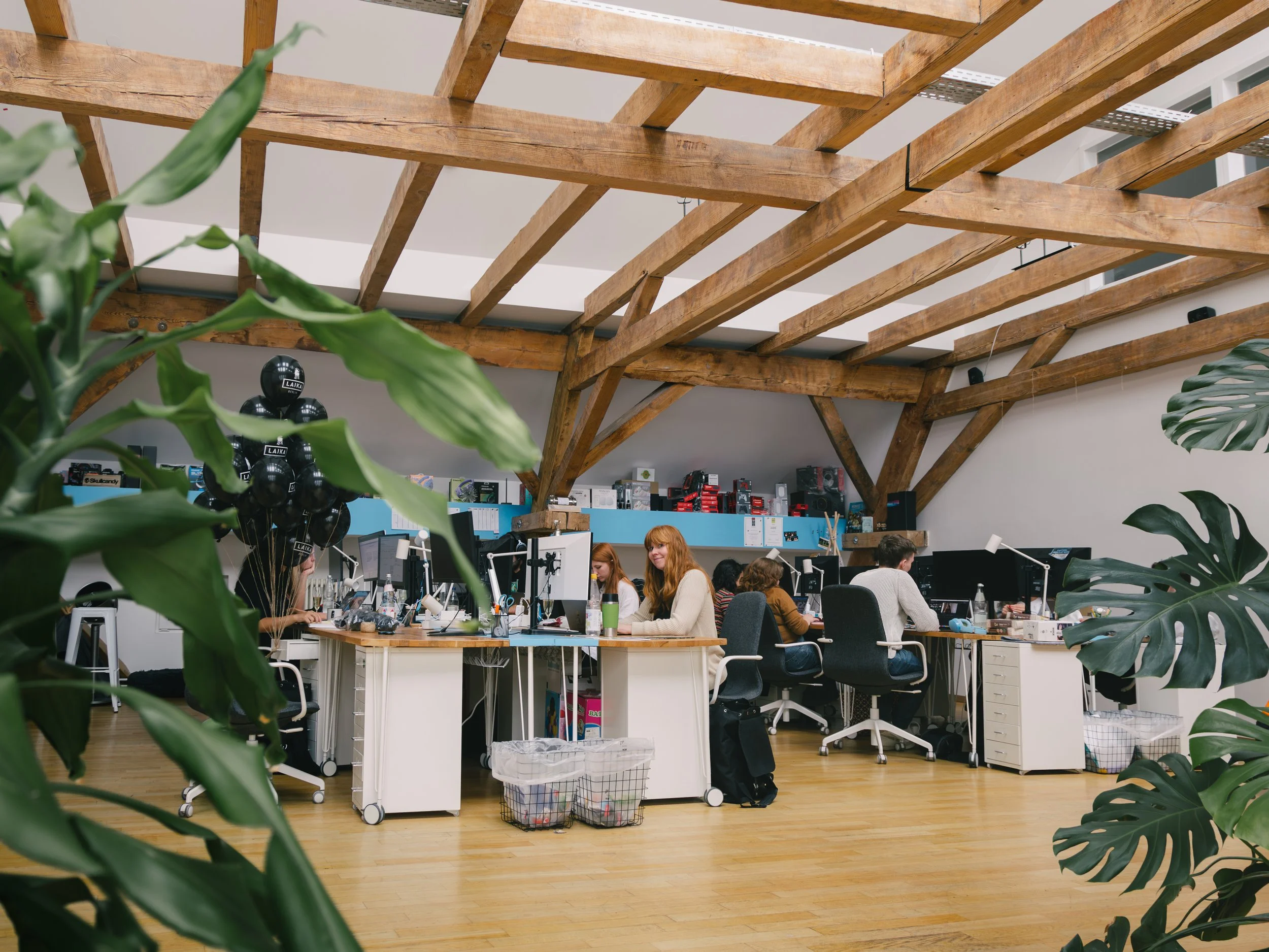 People working at desks in an open office space with a wooden ceiling structure and large green plants in the foreground.