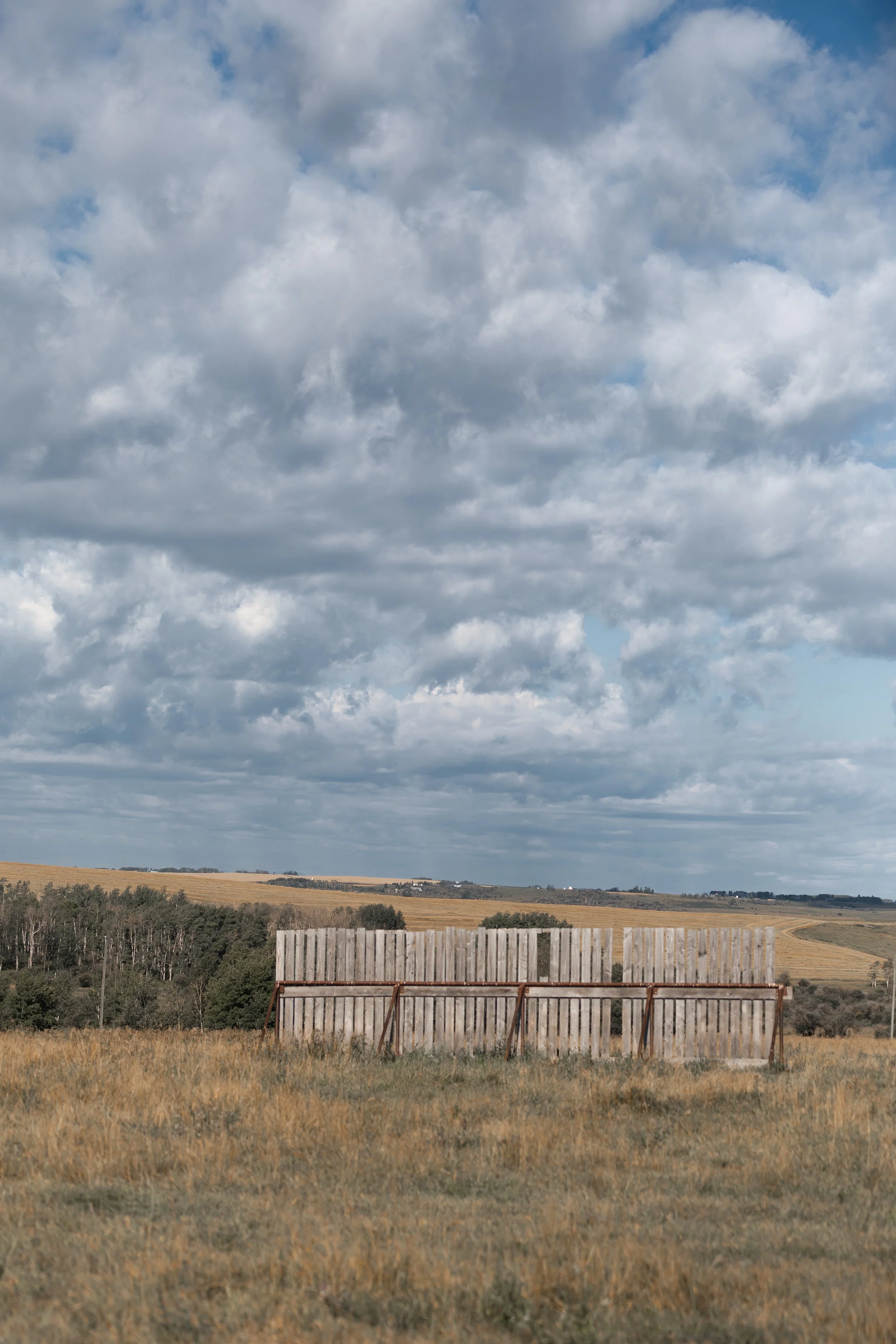 0I7A0902.jpg