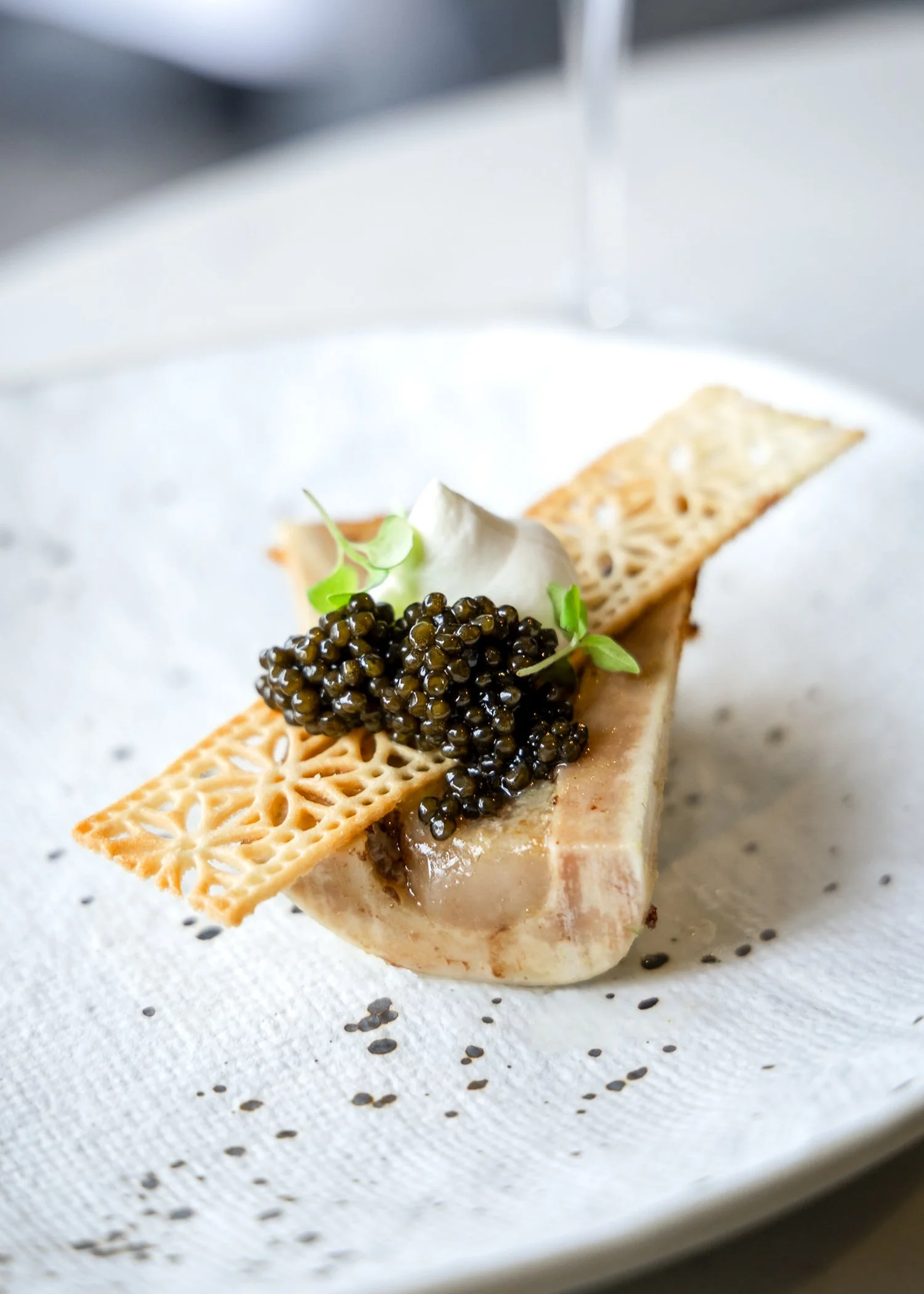 Close-up of a gourmet appetizer featuring bone marrow, black caviar, a green garnish, and a decorative crispy cracker on a white plate.