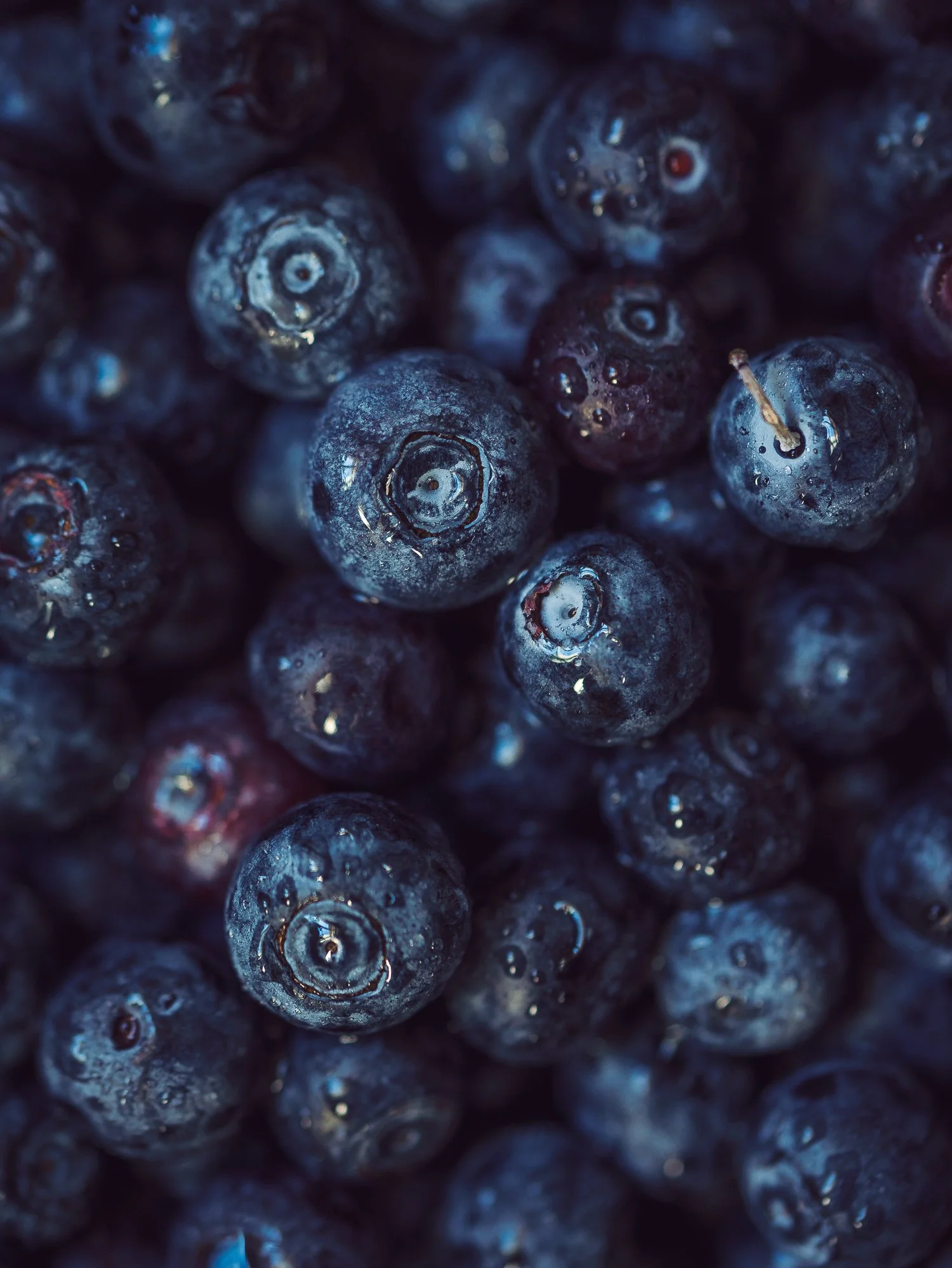 Close-up of fresh blueberries with water droplets, showing their dark blue color and textured skin.