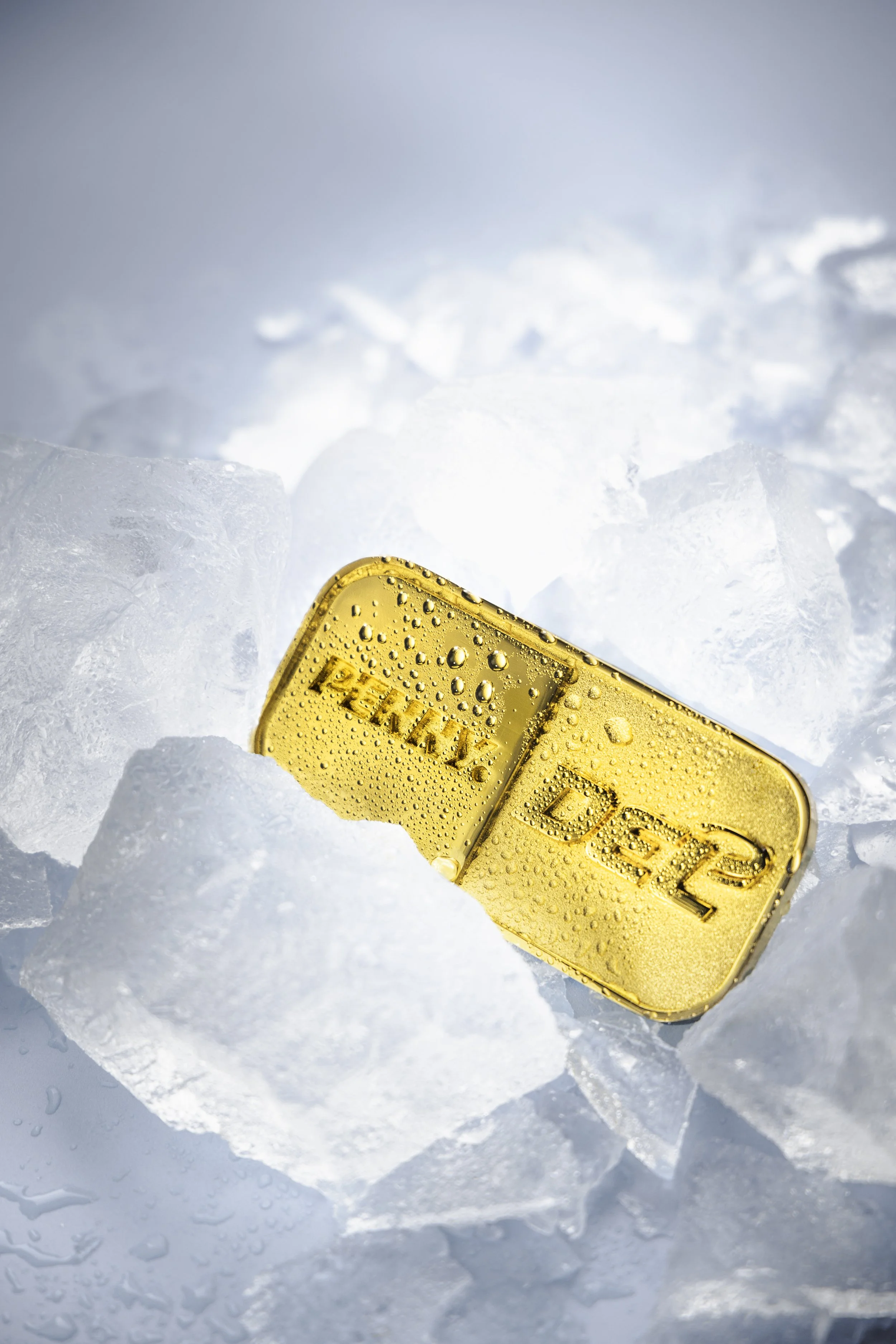 A PENNY DEL gold medal with droplets of water on its surface, partially embedded in ice or snow, with a cloudy sky in the background.