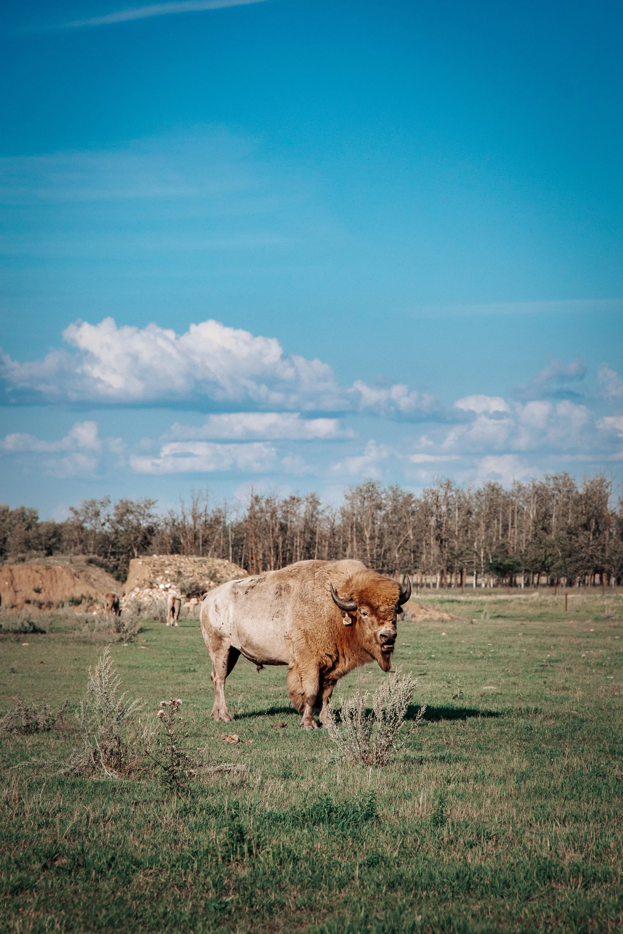 Métis Crossing 